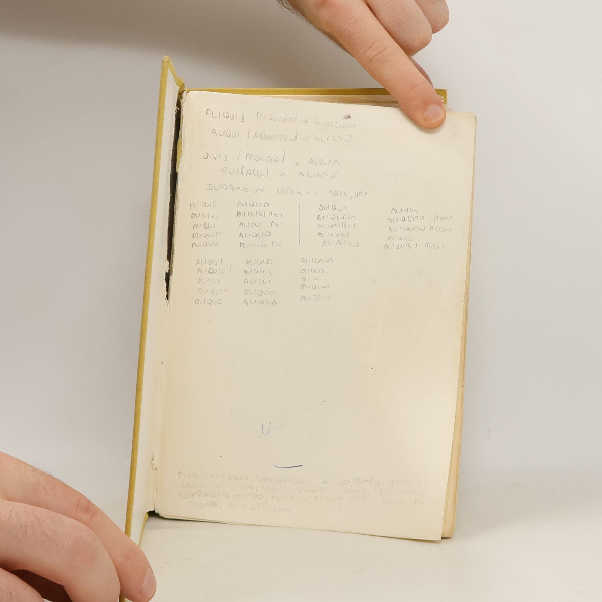 Luigi Castiglioni Il vocabolario della lingua latina
