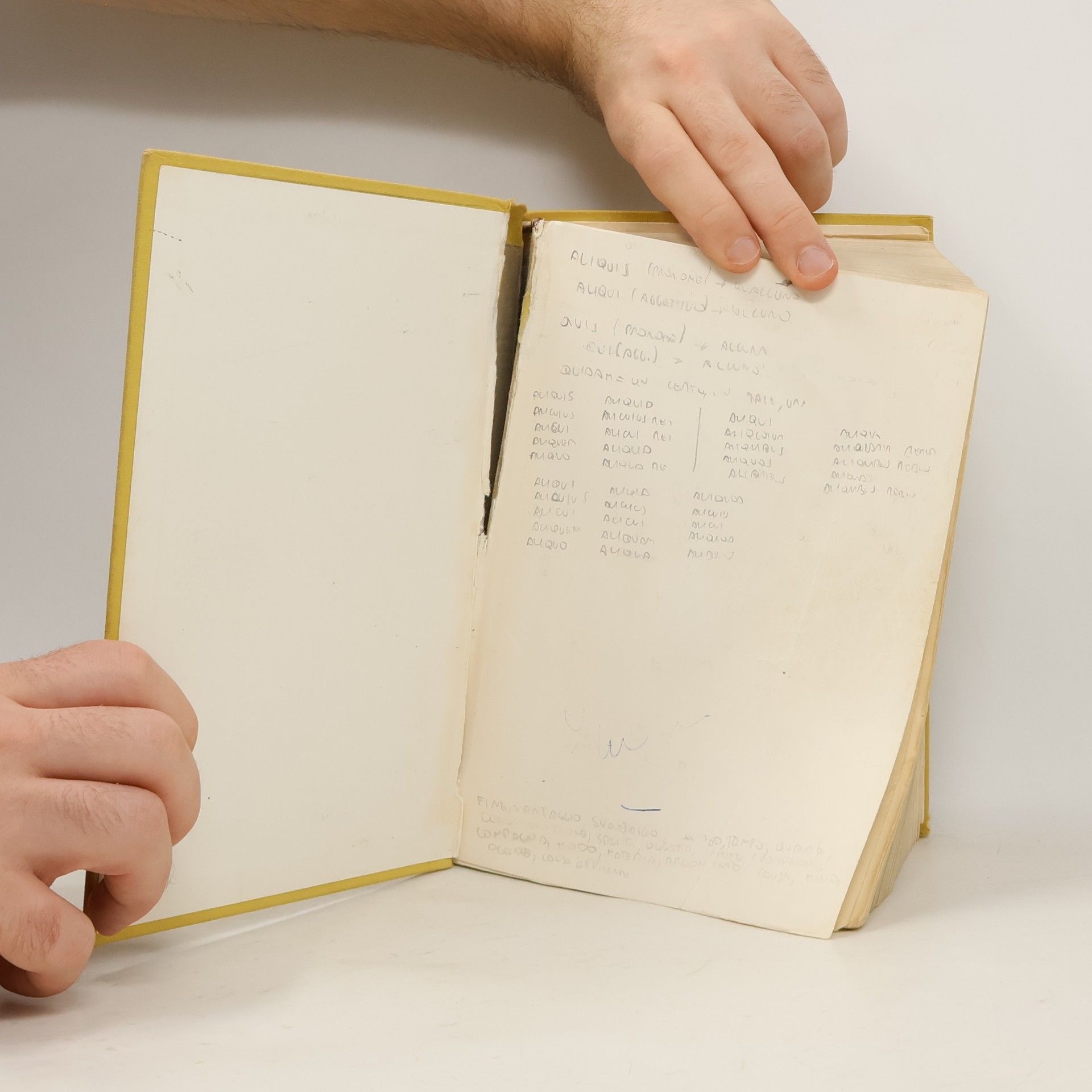 Luigi Castiglioni Il vocabolario della lingua latina