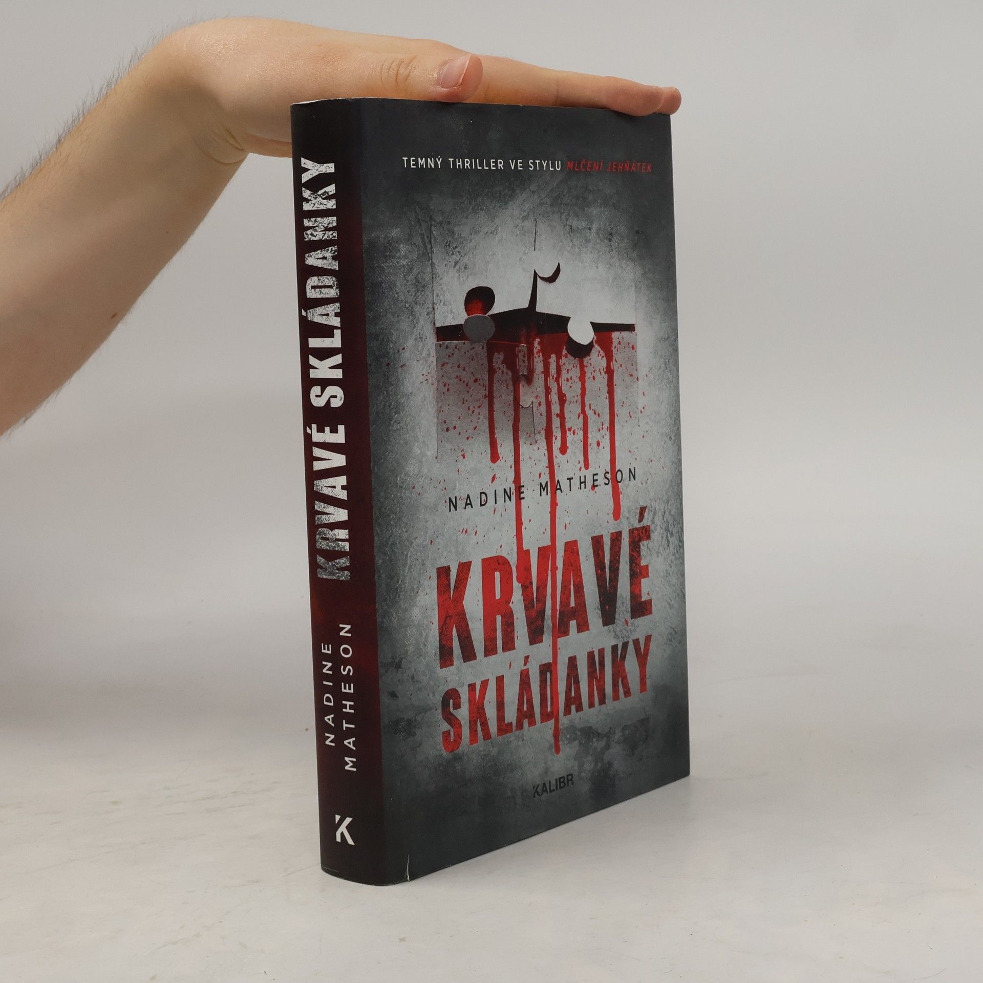 Nadine Matheson Krvavé skládanky