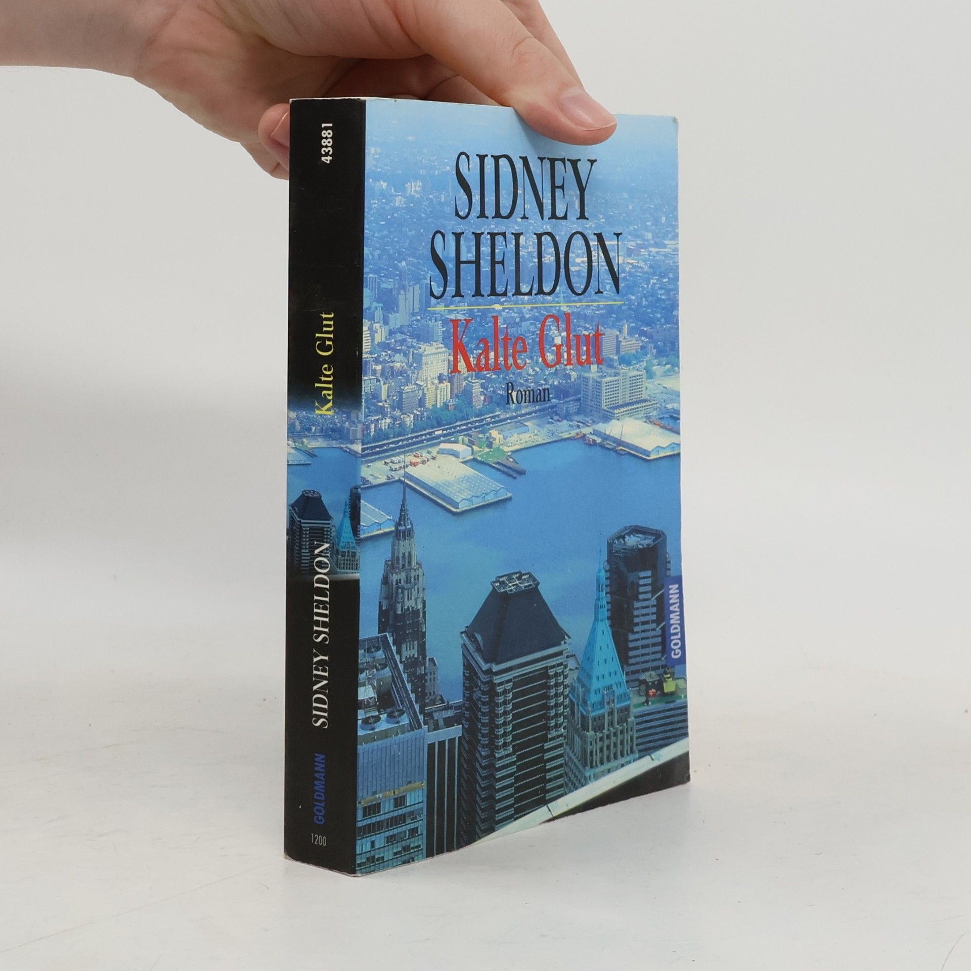 Sidney Sheldon Kalte Glut