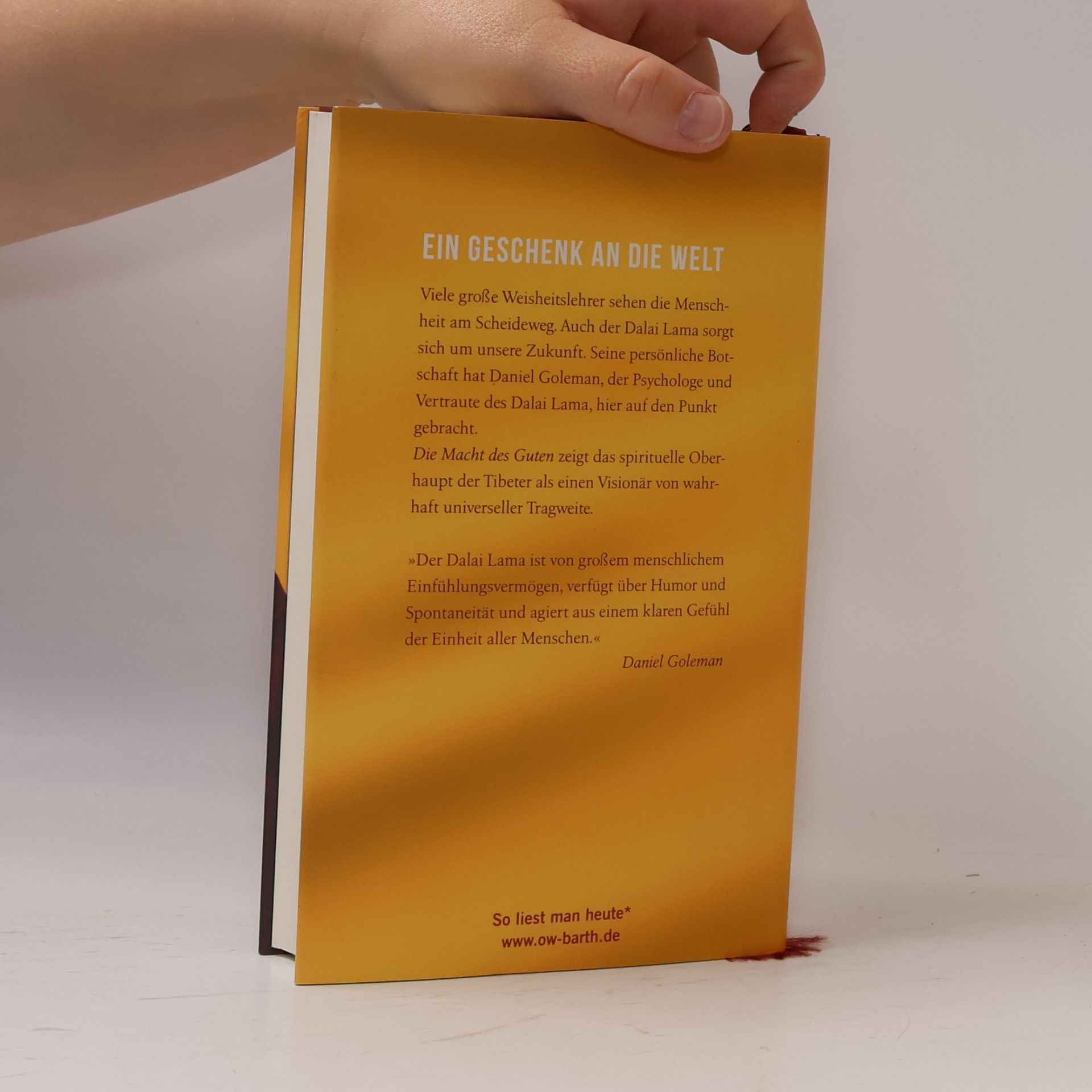 Daniel Goleman Die Macht des Guten