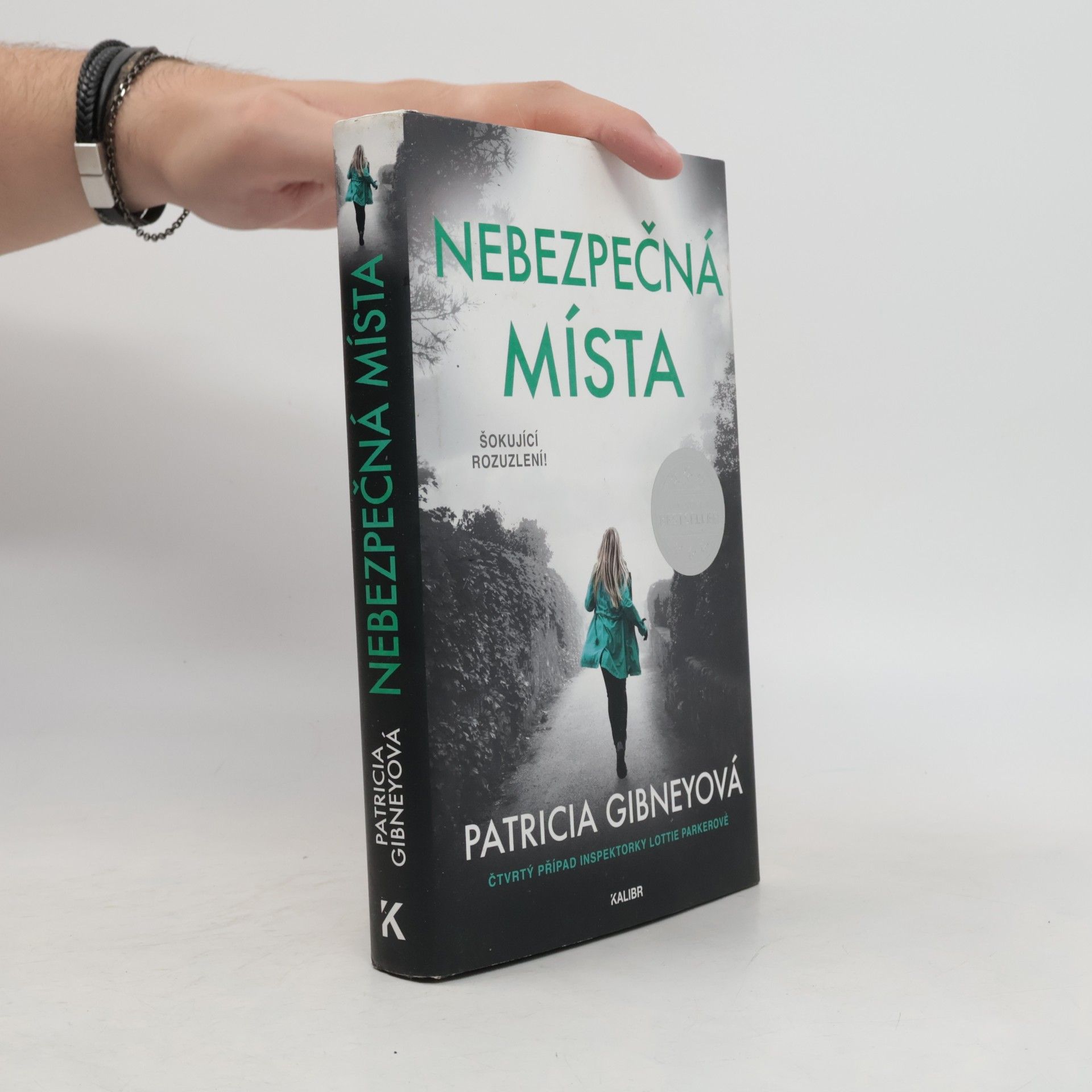 Patricia Gibney Nebezpečná místa