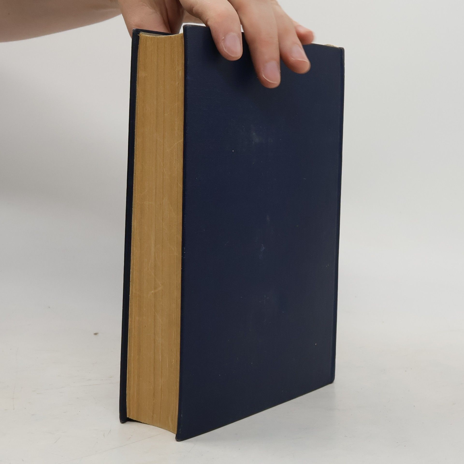Autorenkollektiv Politische Ökonomie Lehrbuch