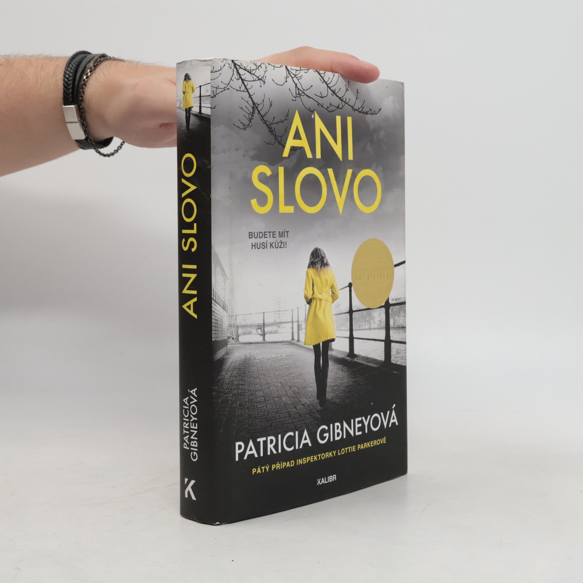 Patricia Gibney Ani slovo