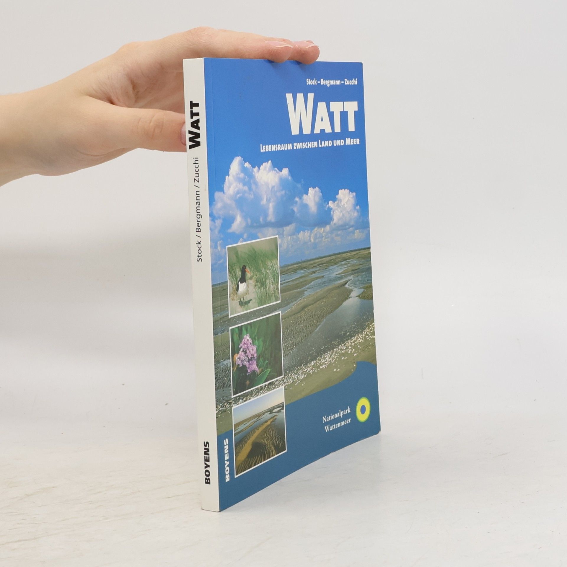 Martin Stock Watt