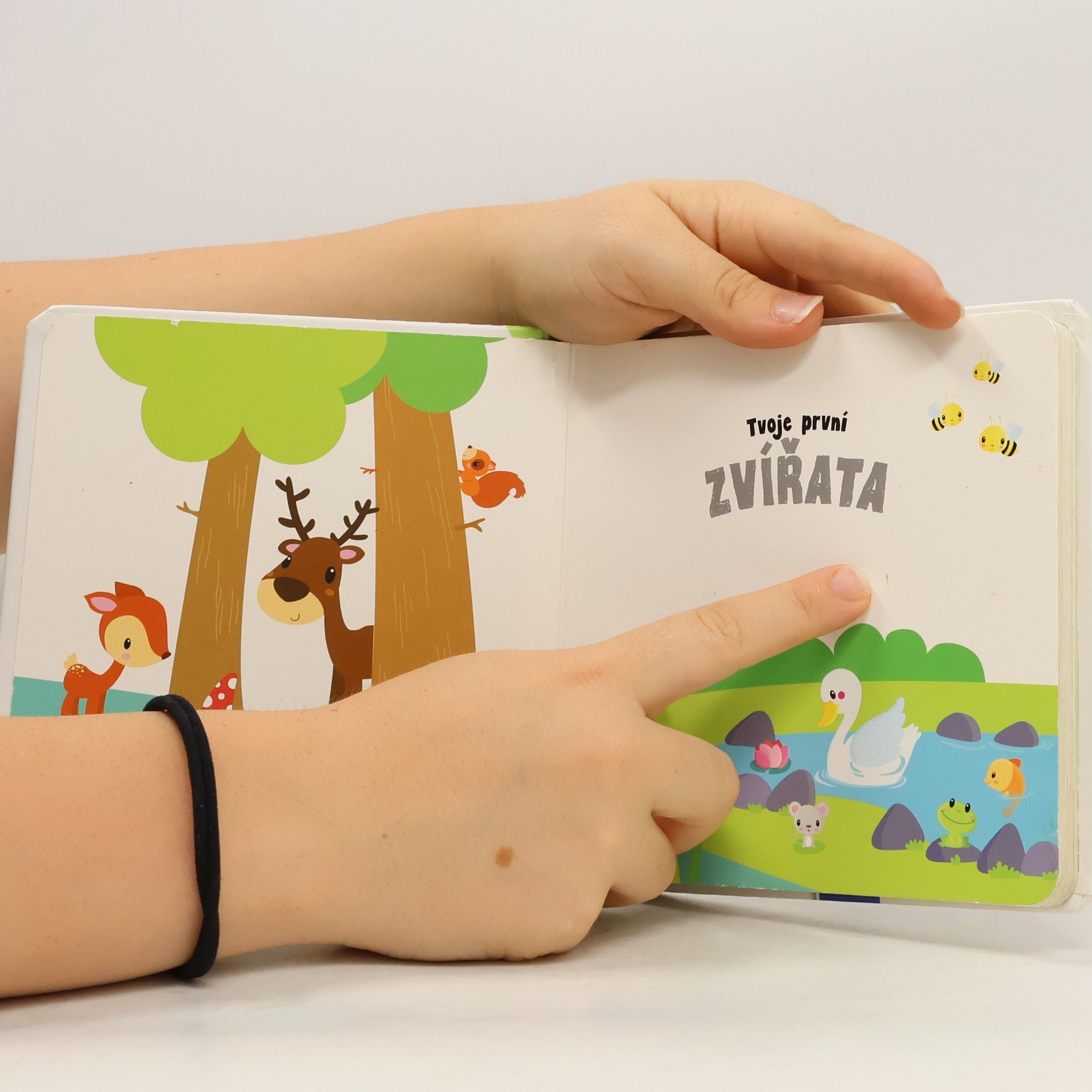 Various authors Tvoje první Zvířata