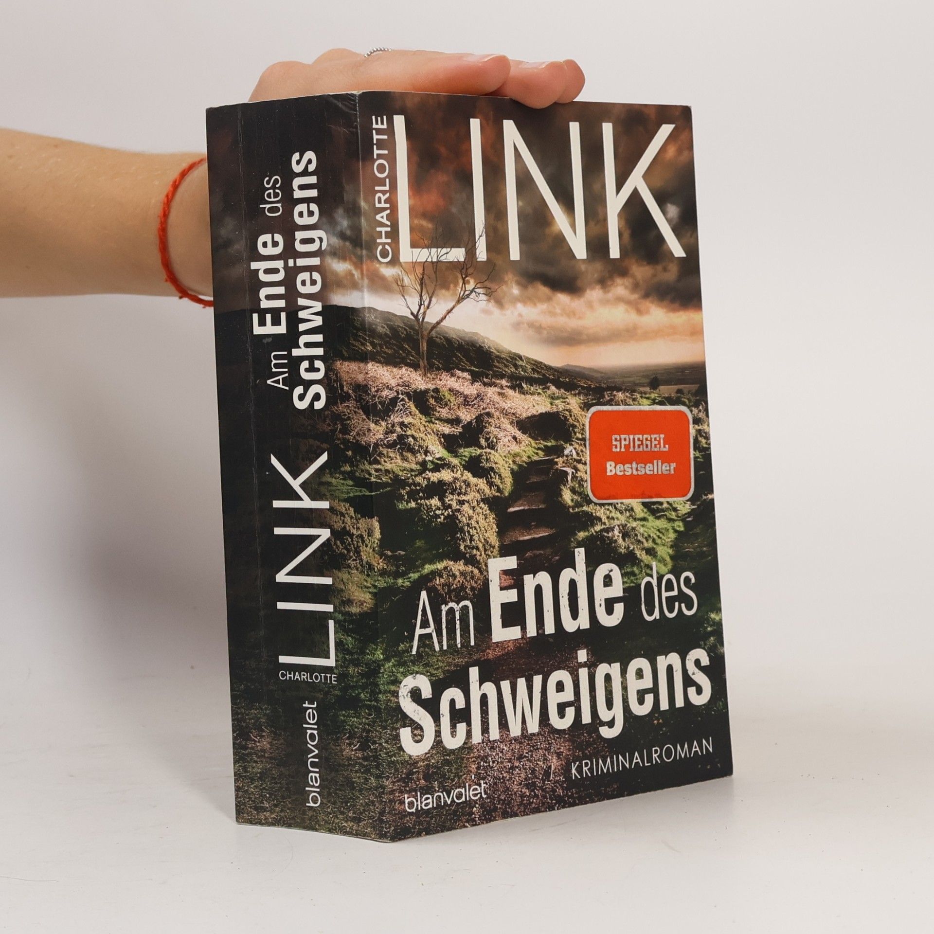 Charlotte Link Am Ende des Schweigens