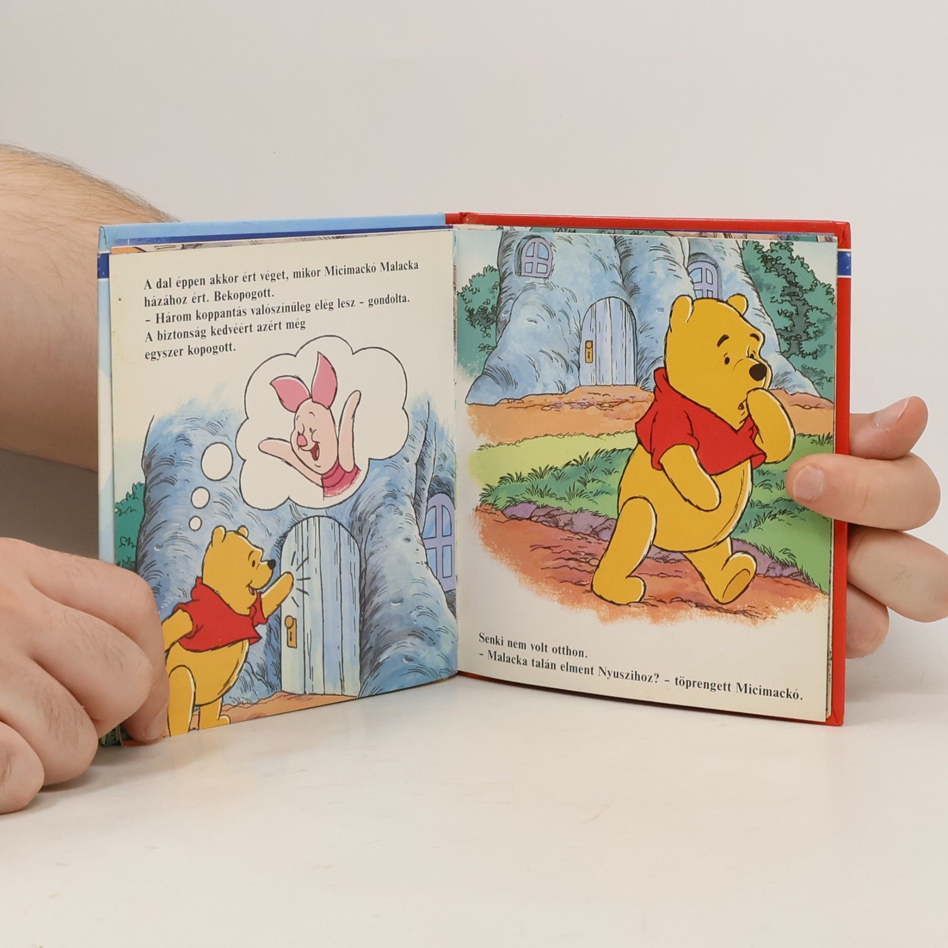 Walt Disney Micimackó legszebb napja 3