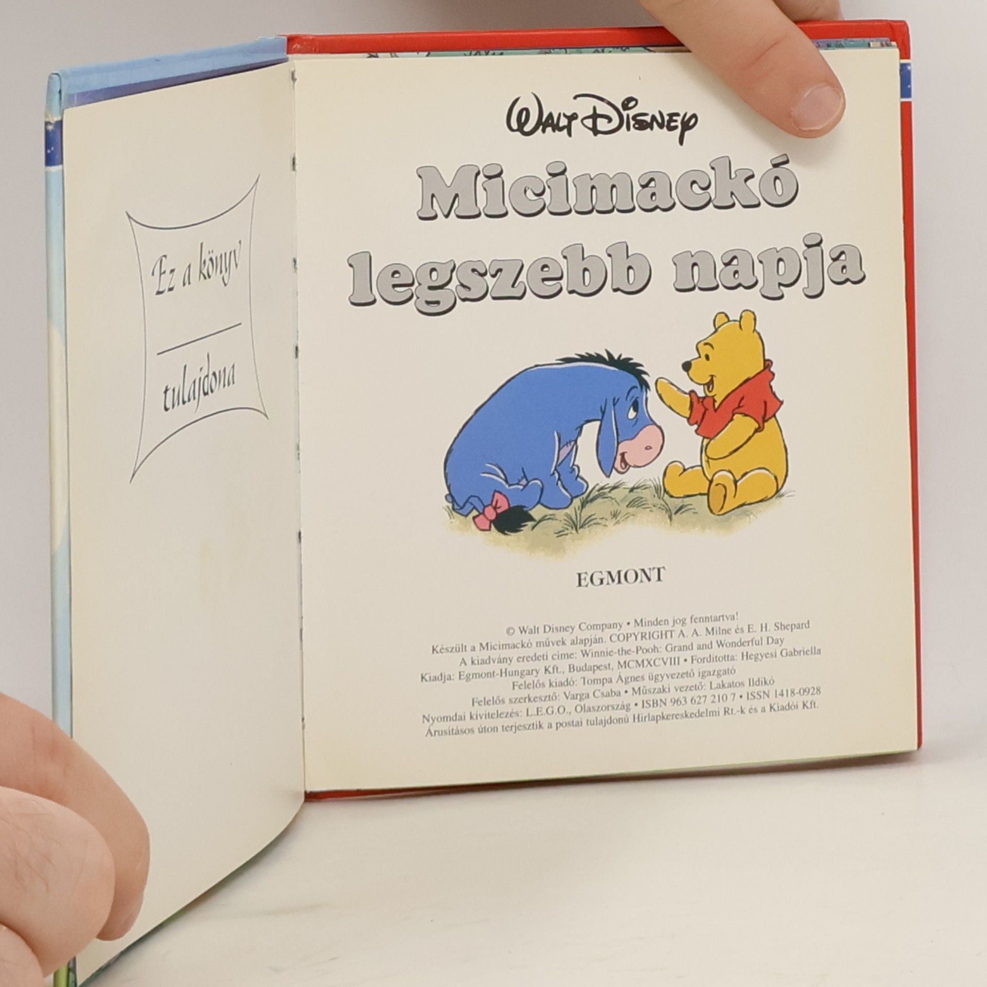Walt Disney Micimackó legszebb napja 3
