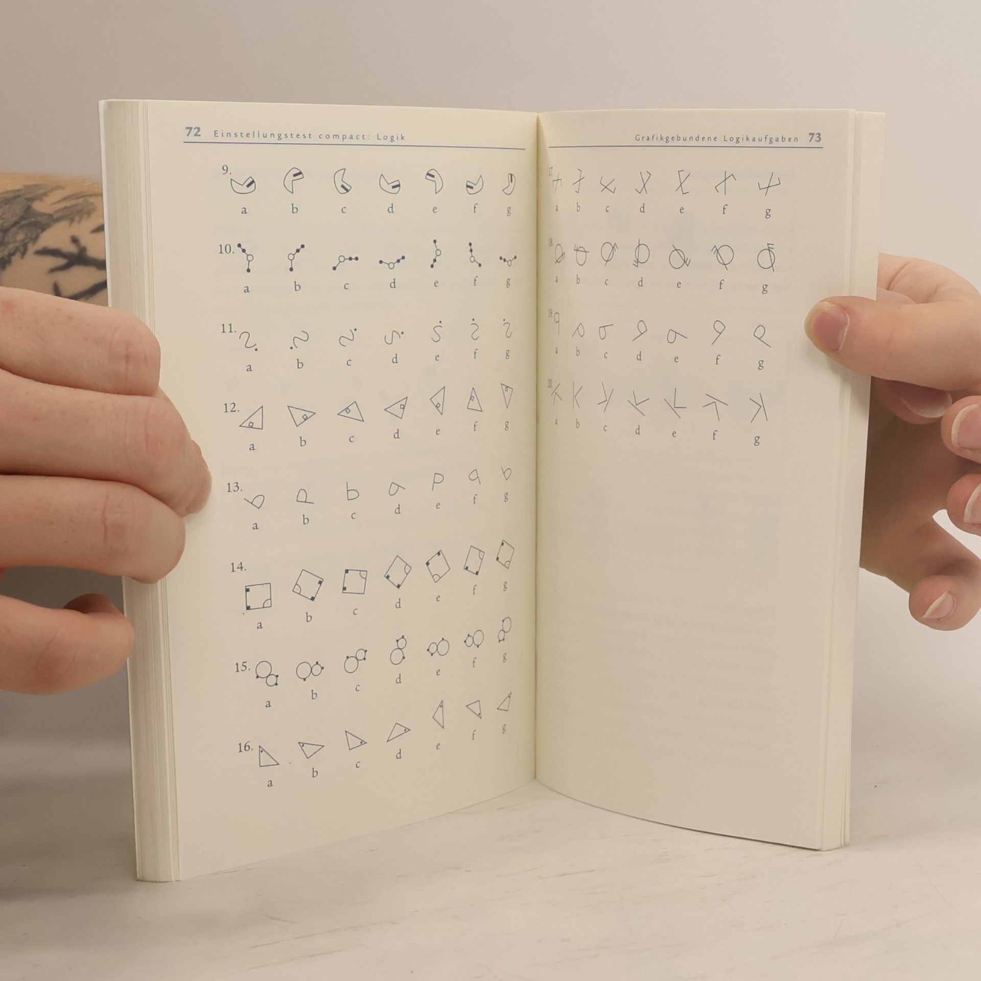 Christian Püttjer Einstellungstest compact: Logik