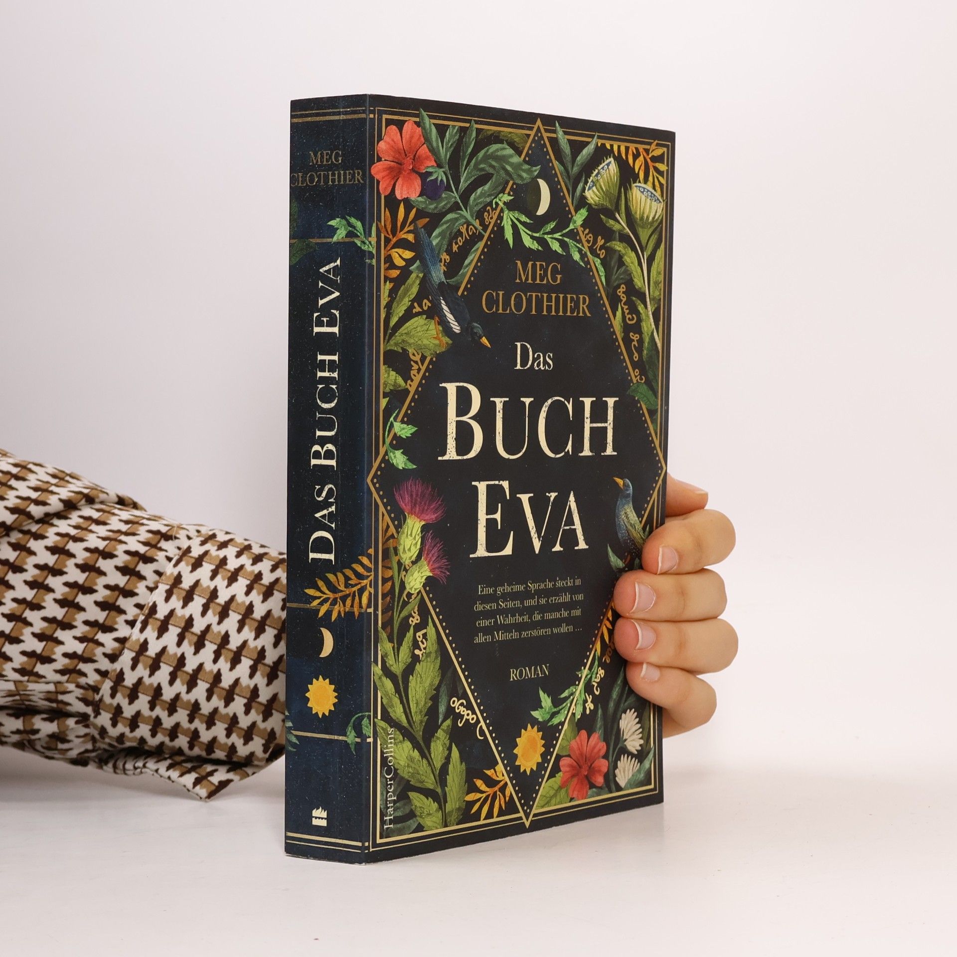 Meg Clothier Das Buch Eva