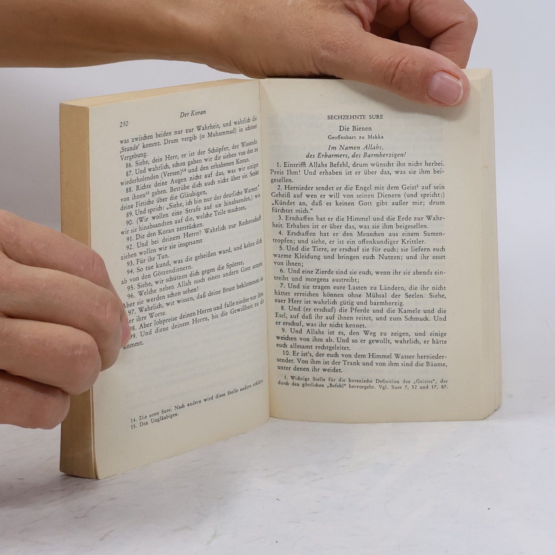 Autorenkollektiv Der Koran