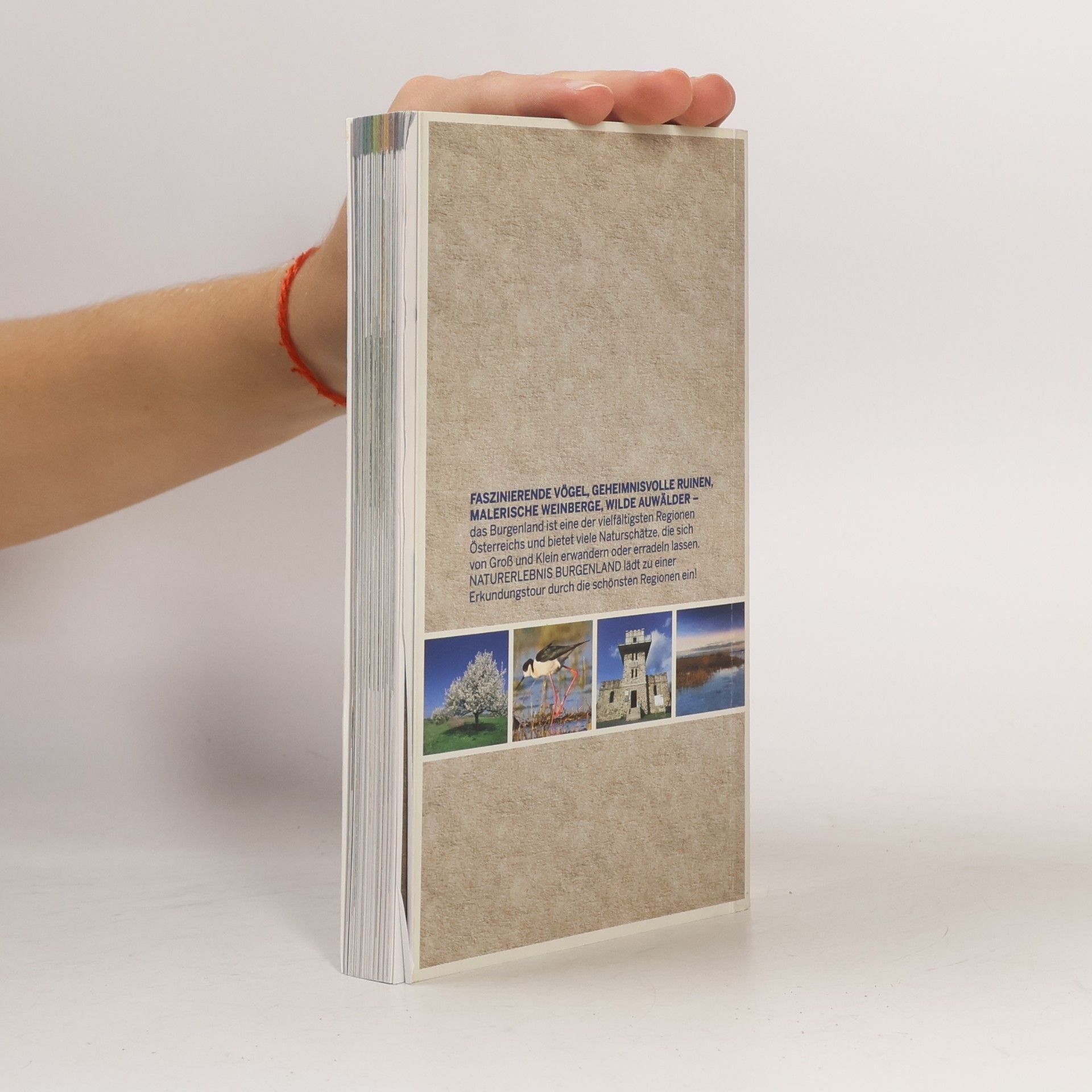 Autorenkollektiv Naturerlebnis Burgenland