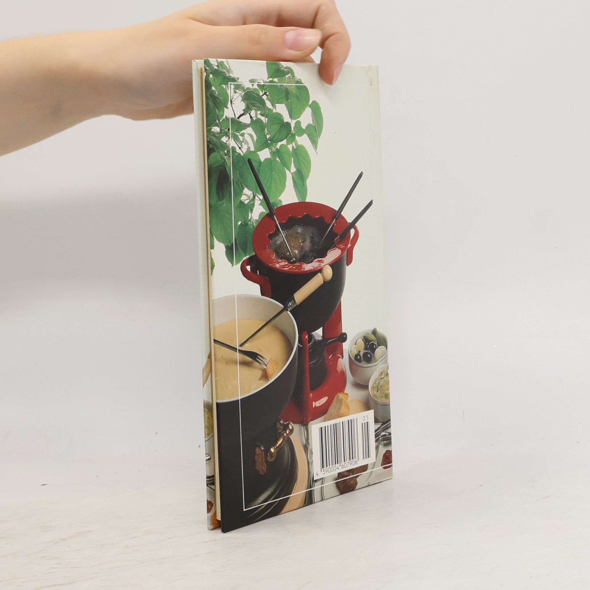 kolektiv Fondues, Raclettes und Feuertöpfe