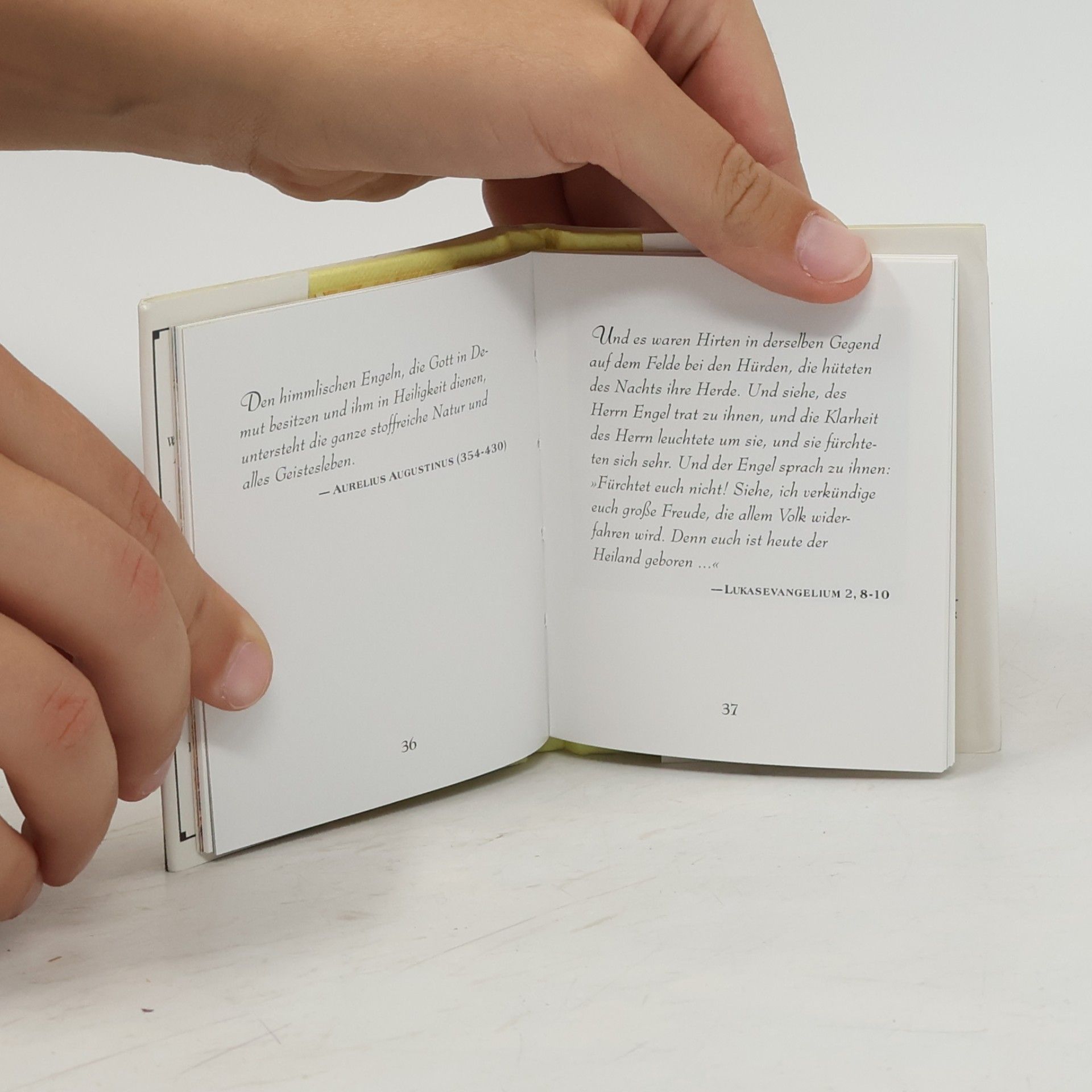 Antje Hermann Engel. Die kleine Bibliothek