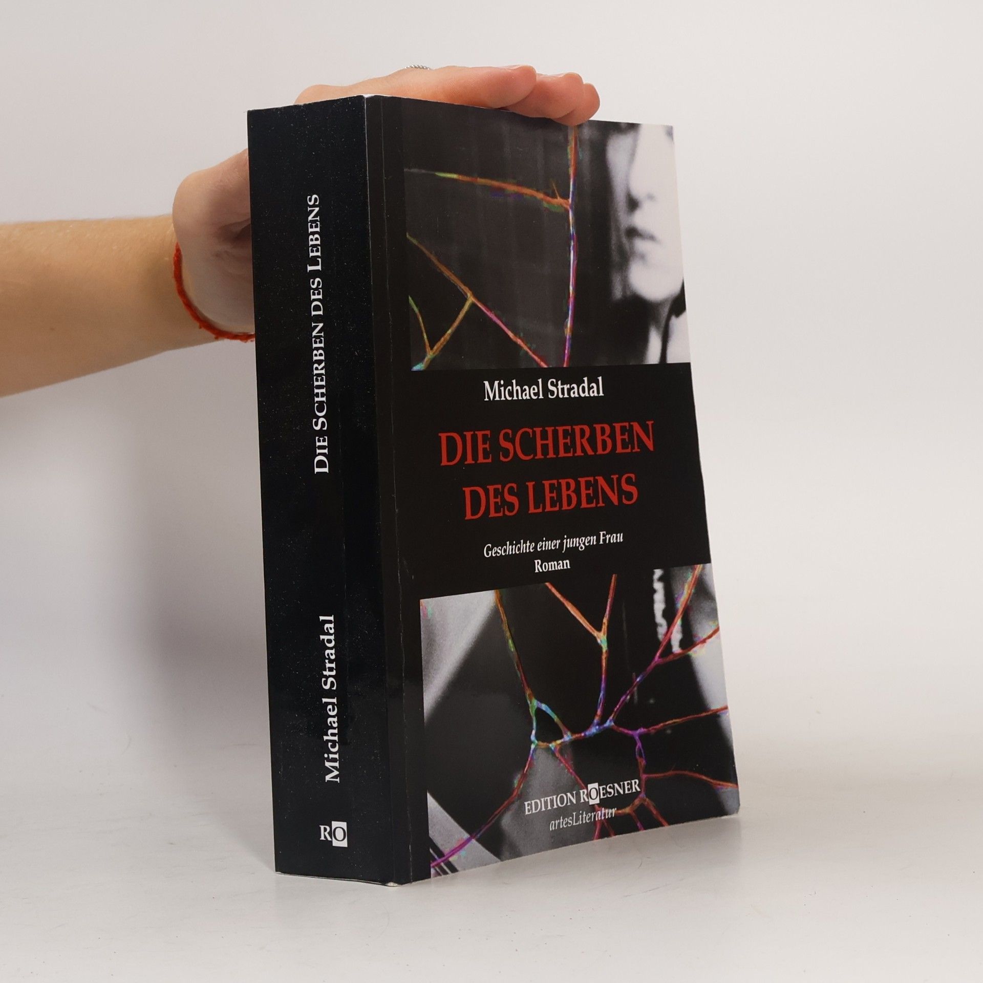 DIE SCHERBEN DES LEBENS