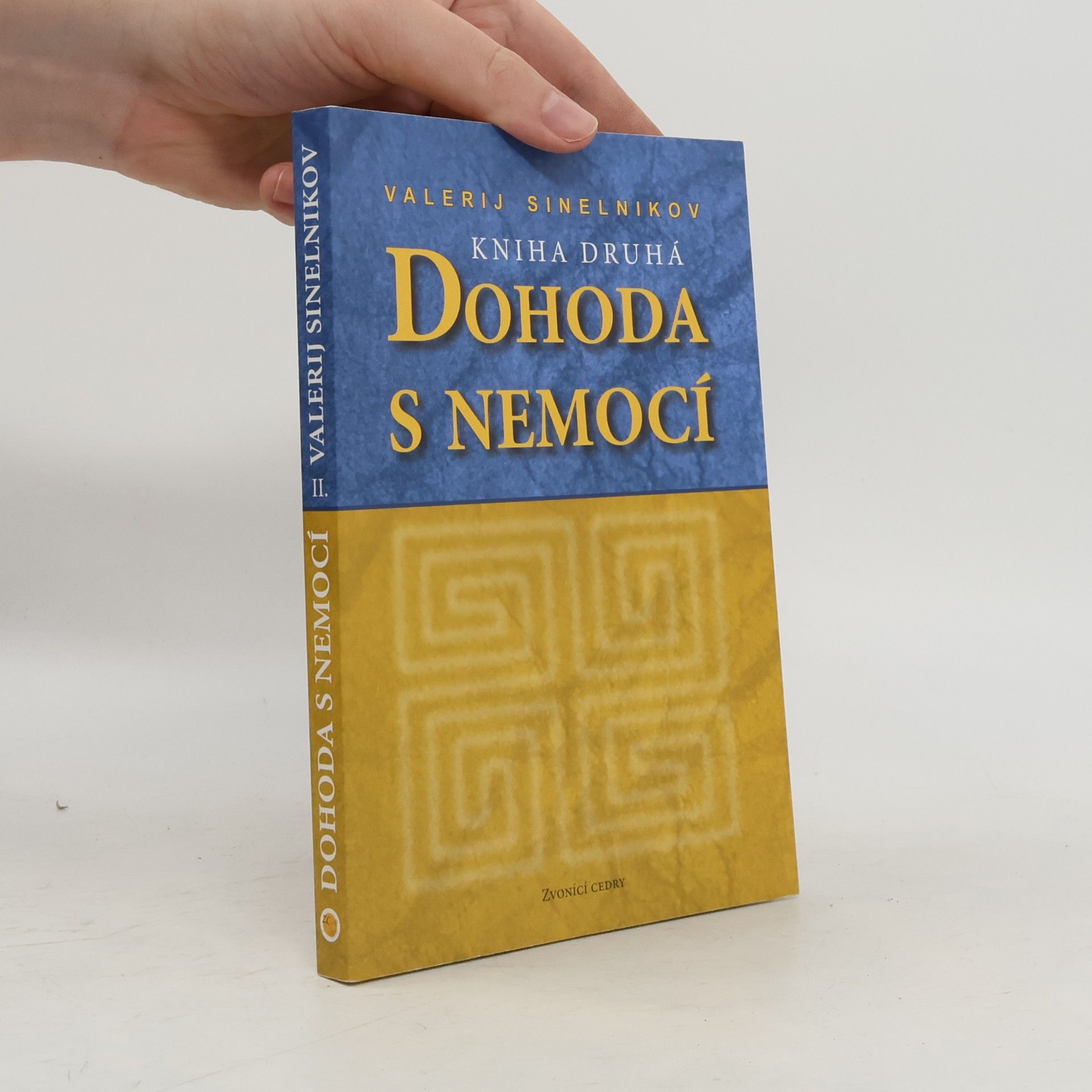 Valerij Vladimirovič Sinel‘nikov Dohoda s nemocí. Kniha druhá