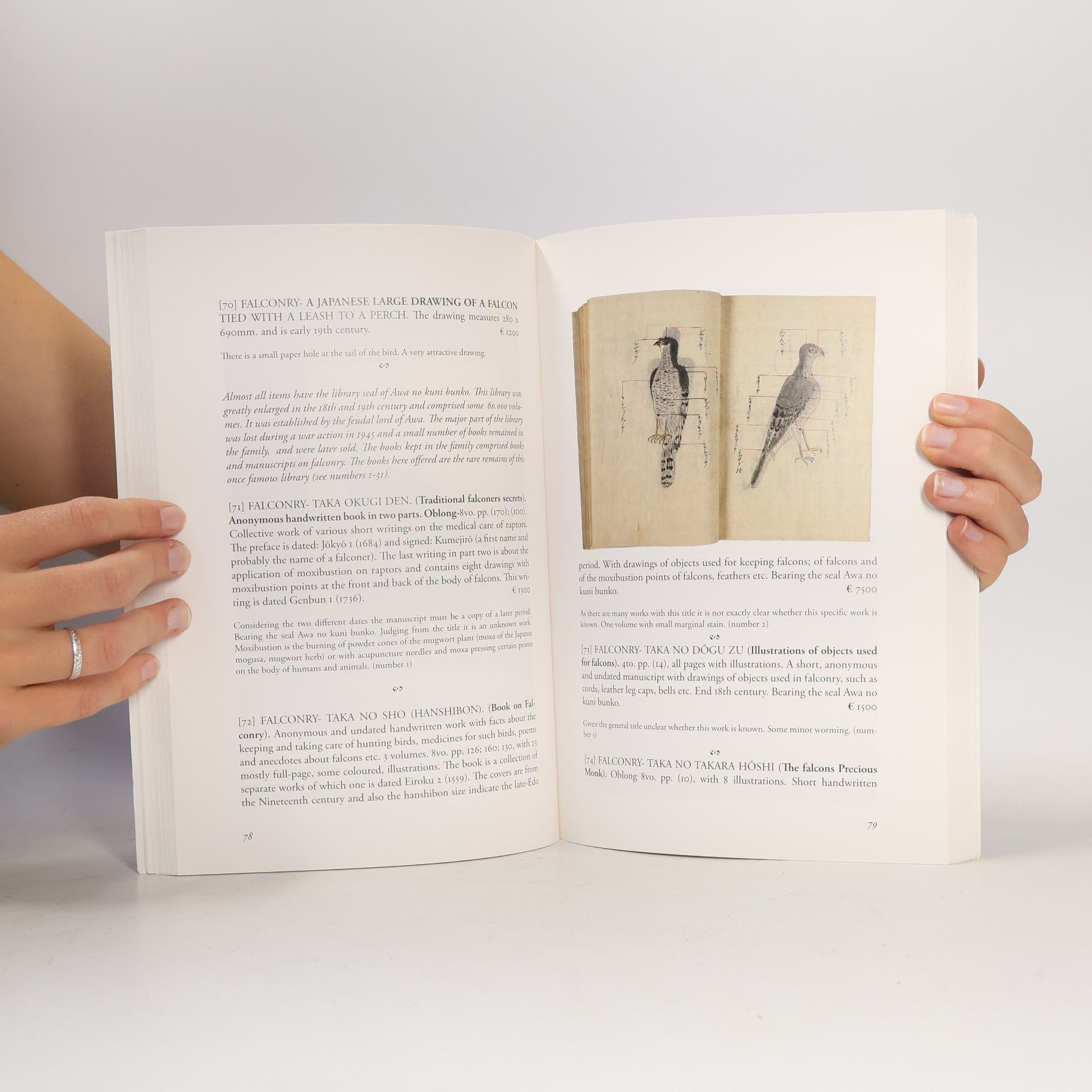 Various authors Catalogue 291: Natural History & Travel