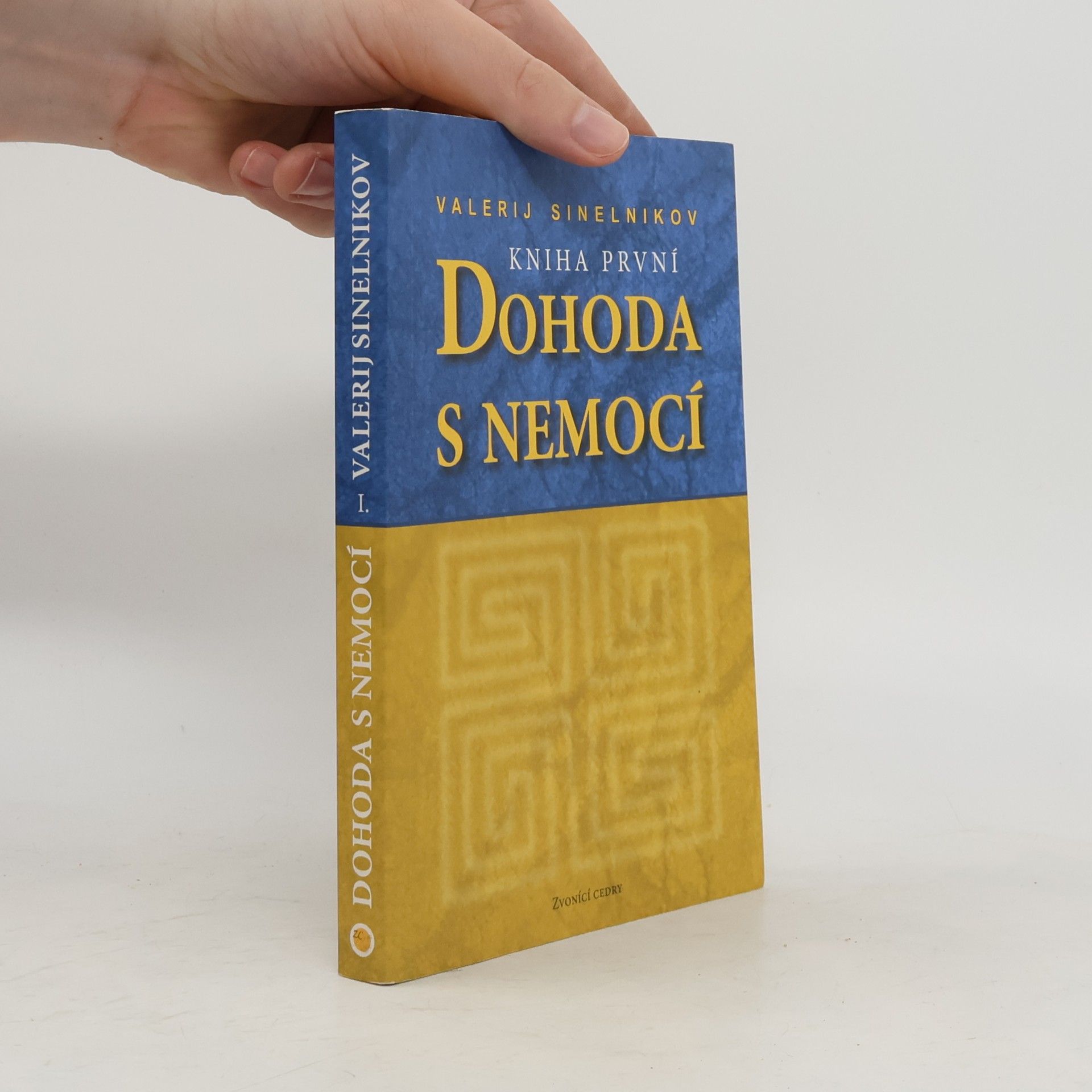 Valerij Vladimirovič Sinel‘nikov Dohoda s nemocí. Kniha první