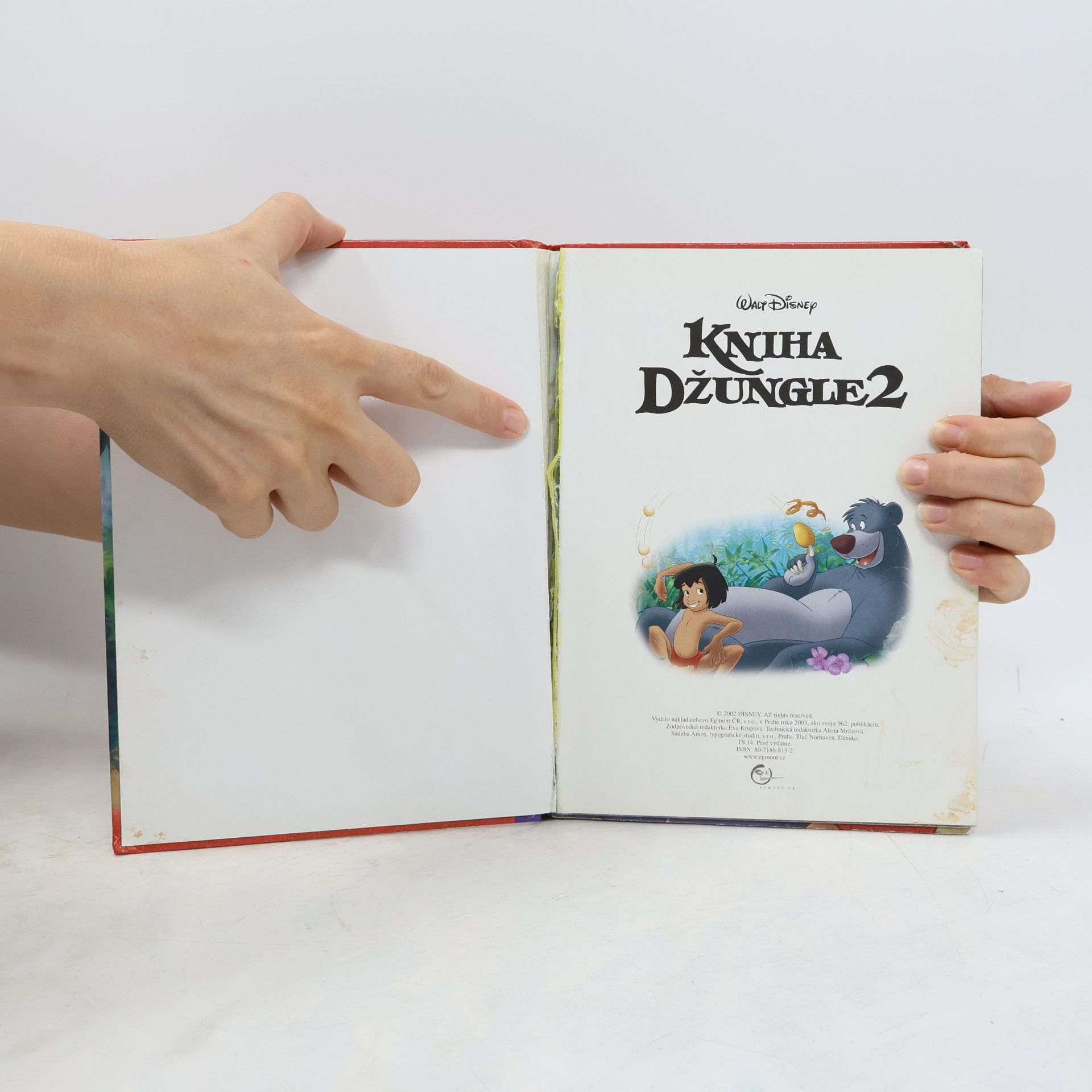 Auteurscollectief Kniha džungle 2
