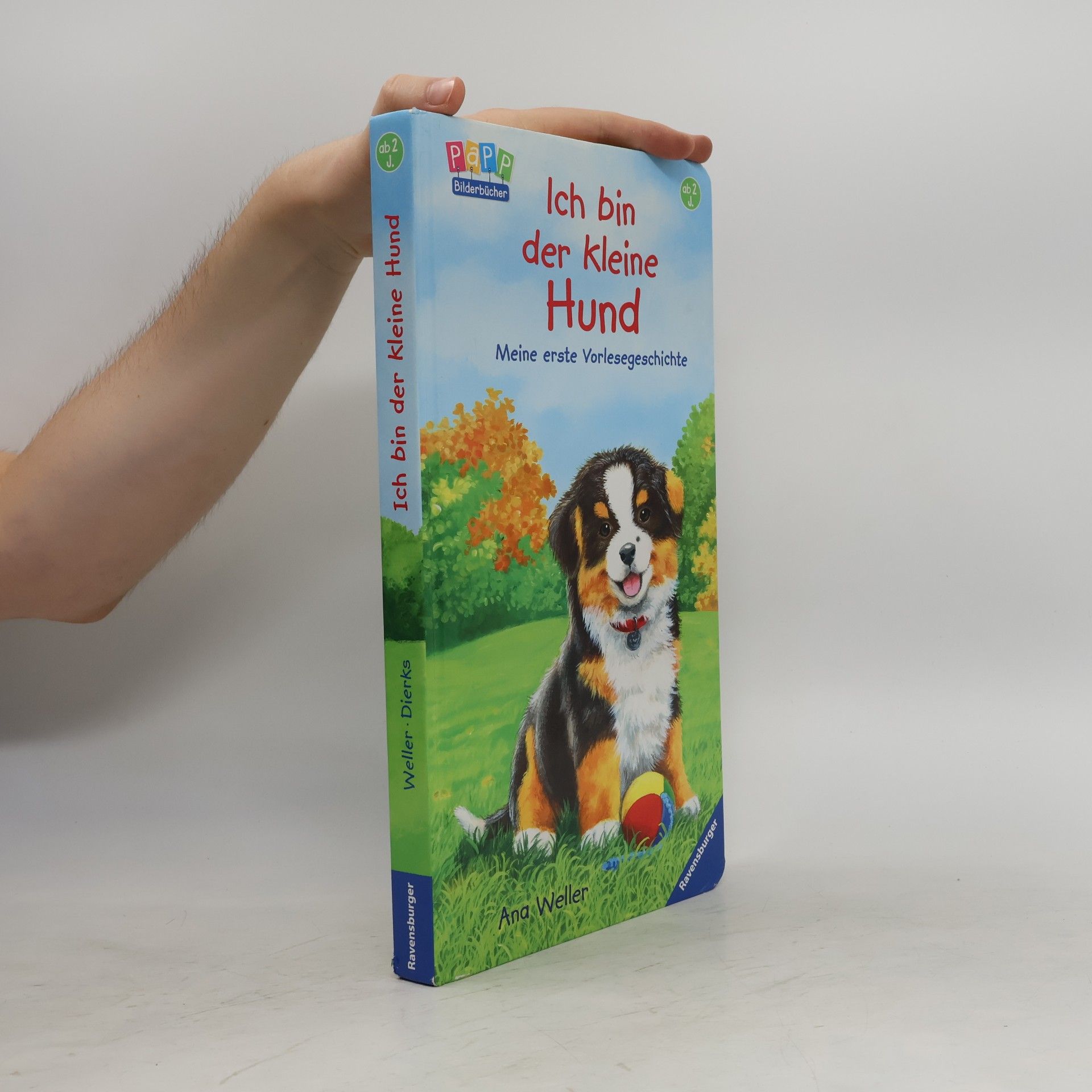 Ana Weller Ich bin der kleine Hund