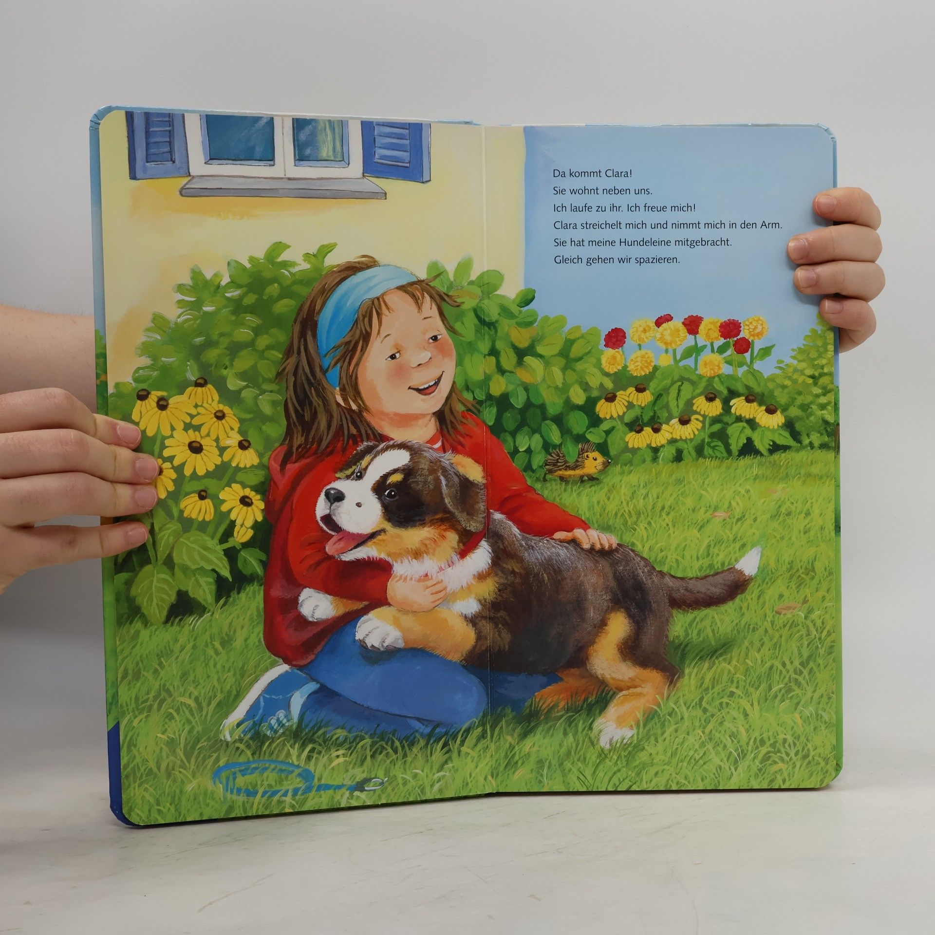 Ana Weller Ich bin der kleine Hund