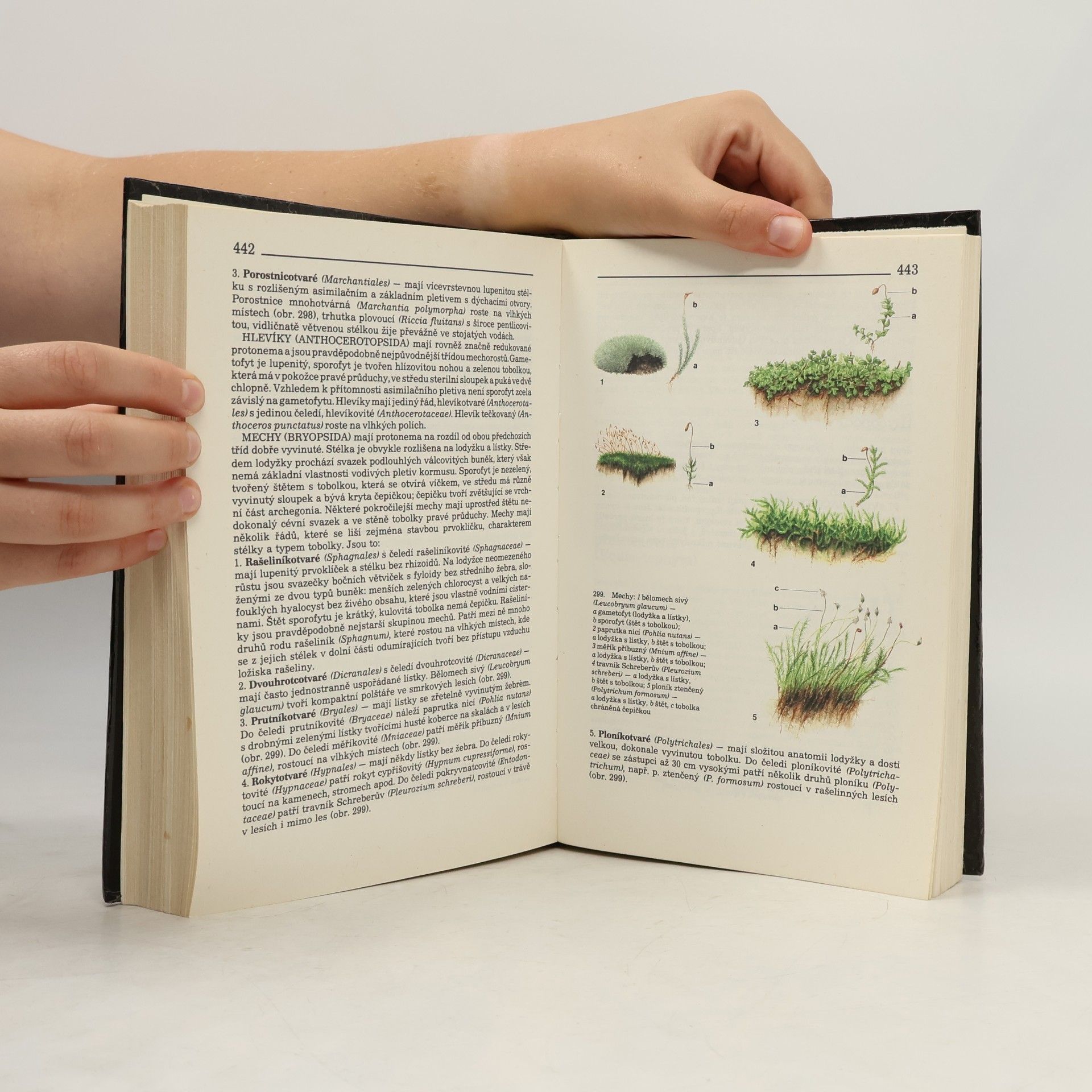 Various authors Přehled biologie