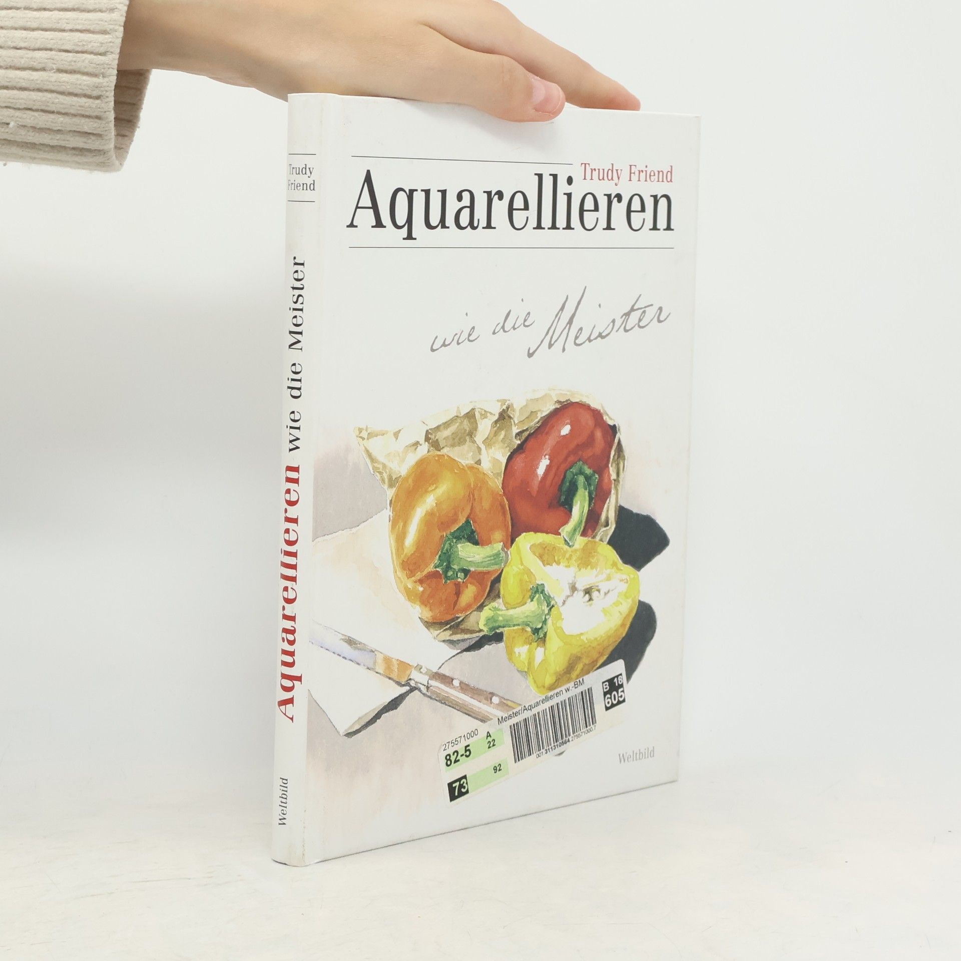 Trudy Friend Aquarellieren wie die Meister
