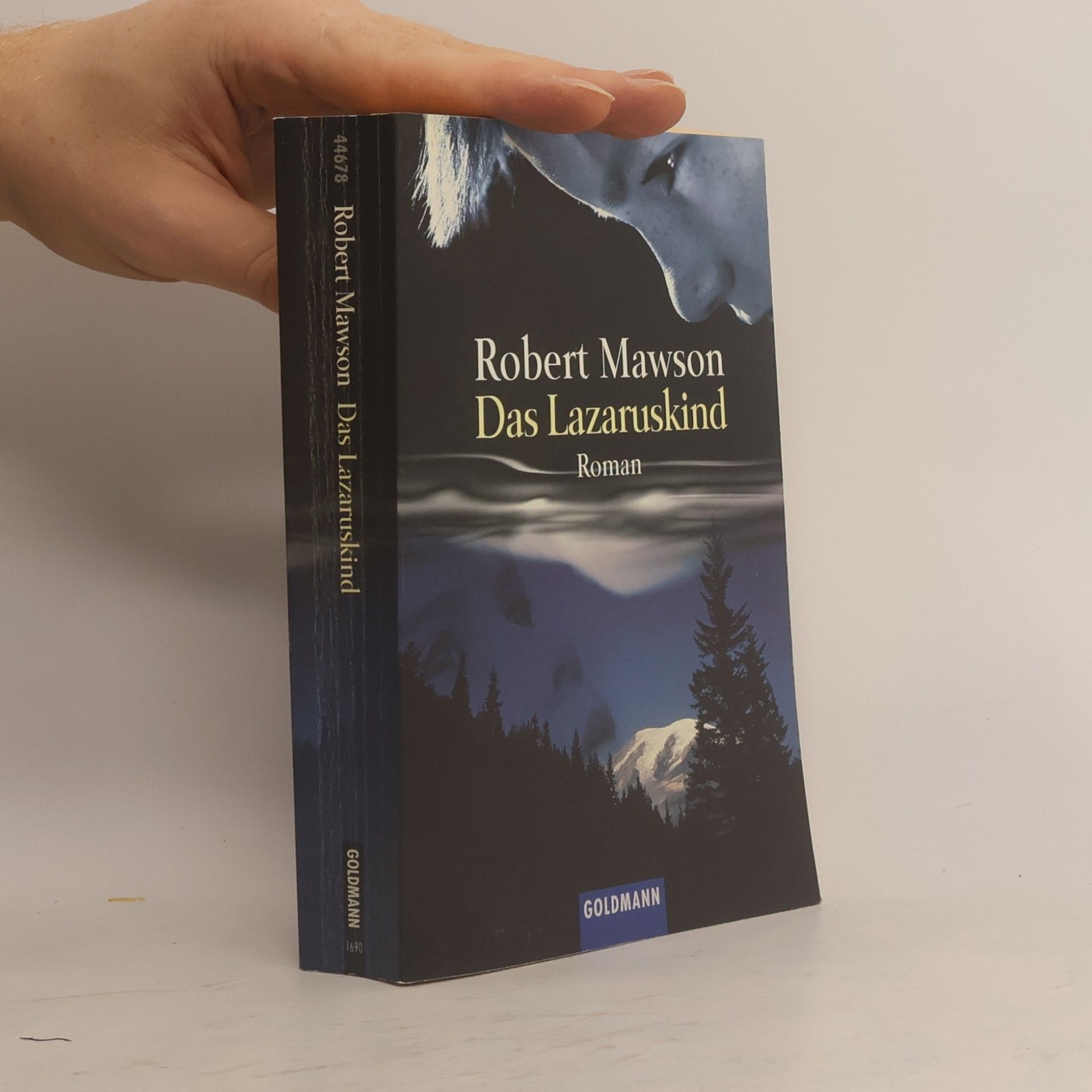 Robert Mawson Das Lazaruskind