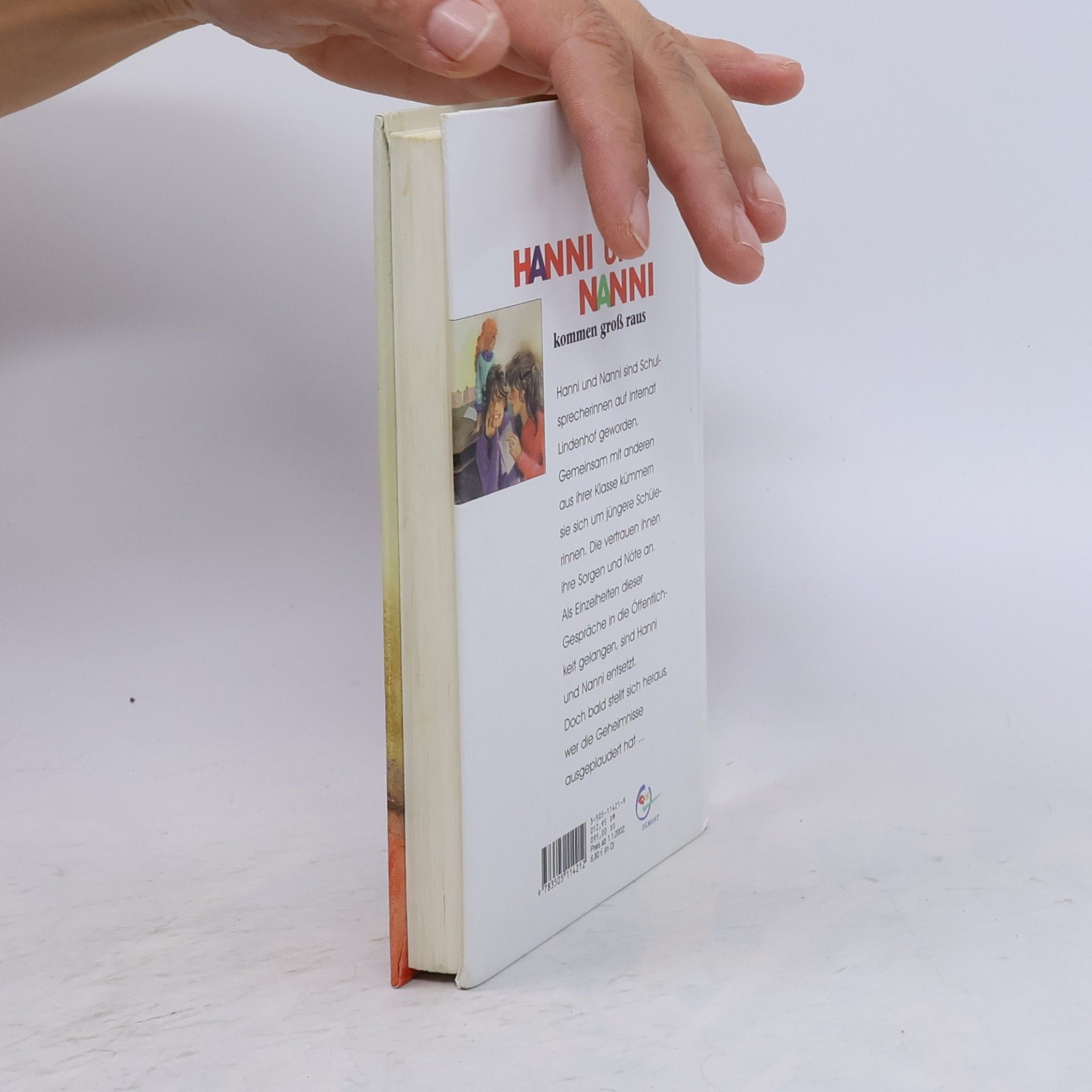 Enid Blyton Hanni und Nanni kommen groß raus