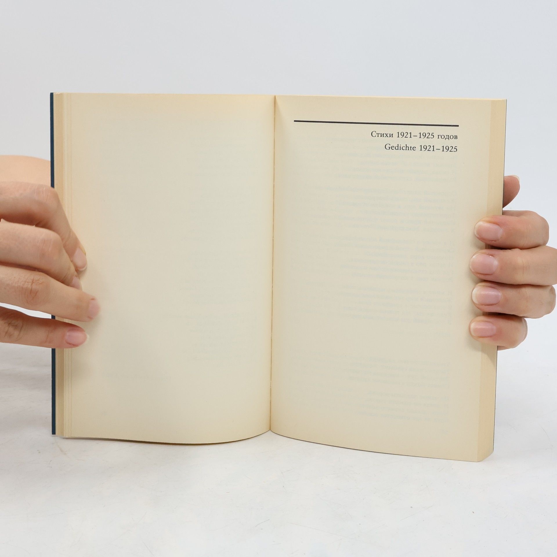 Osip Mandelstam Hufeisenfinder. Gedichte. Hrsg. v. Fritz Mierau. Russ.-Dtsch.