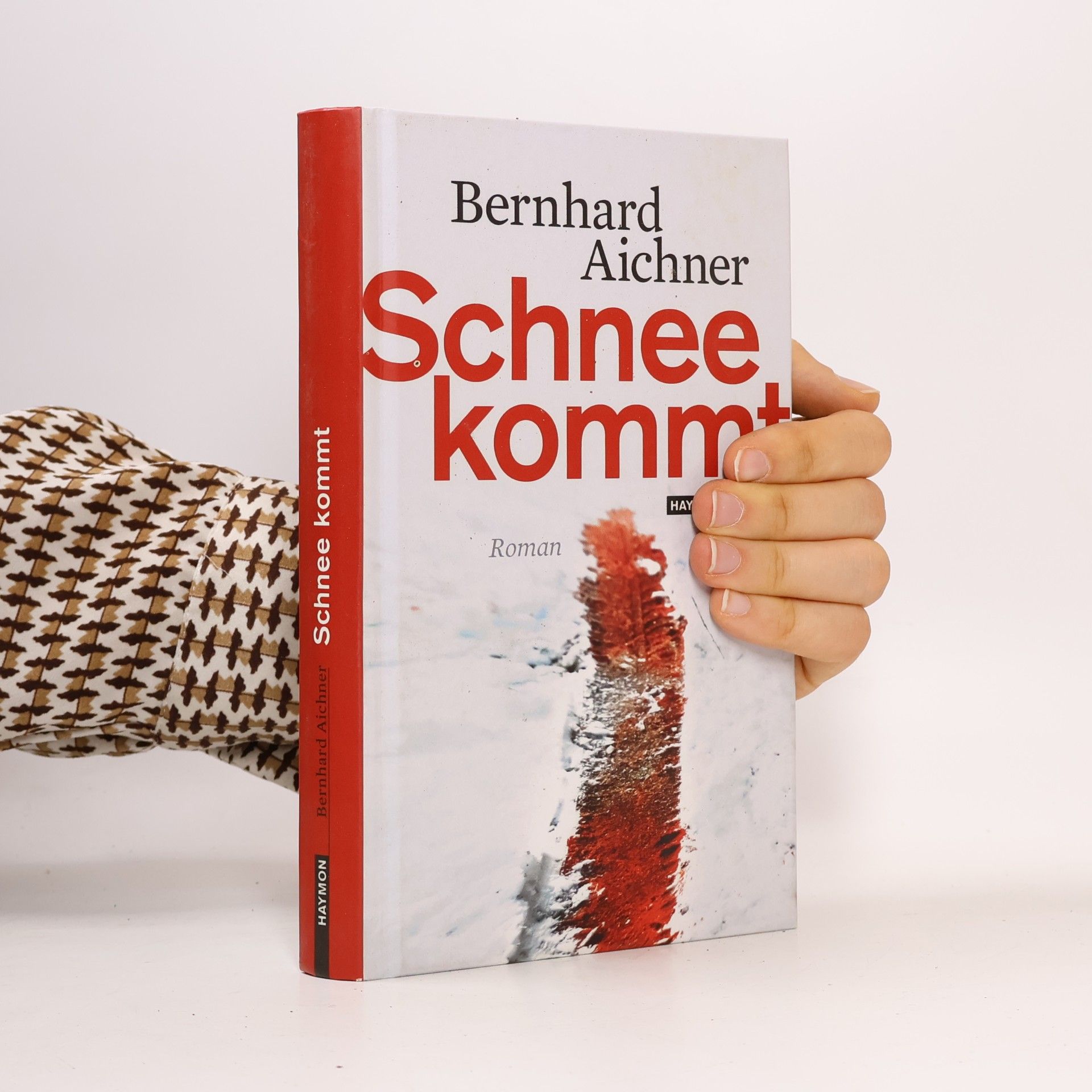 Bernhard Aichner Schnee kommt