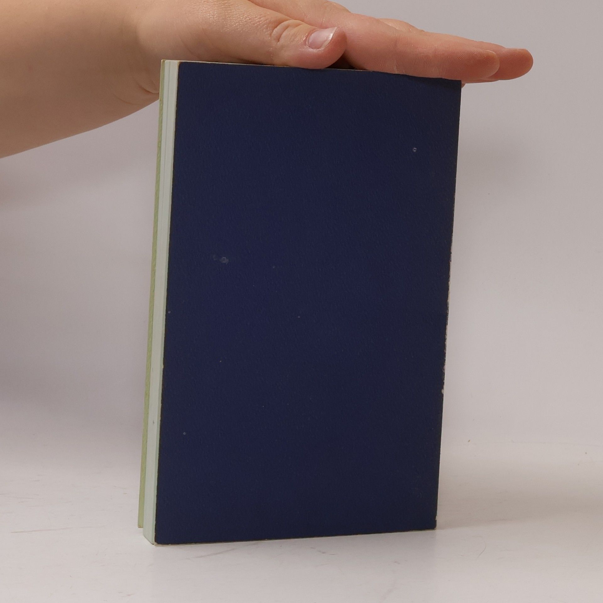 Kolektiv autorů Die blaue Bibel