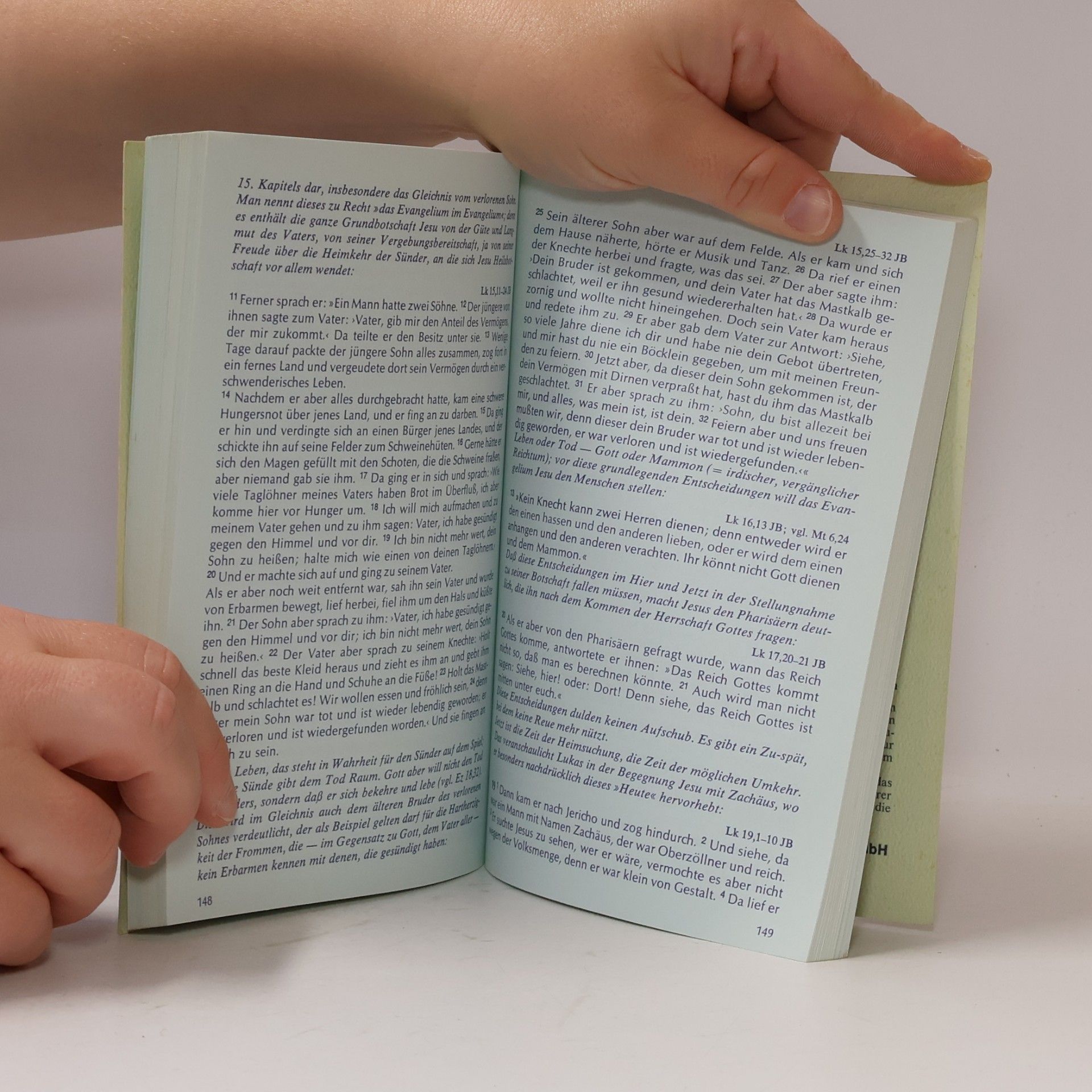 Kolektiv autorů Die blaue Bibel