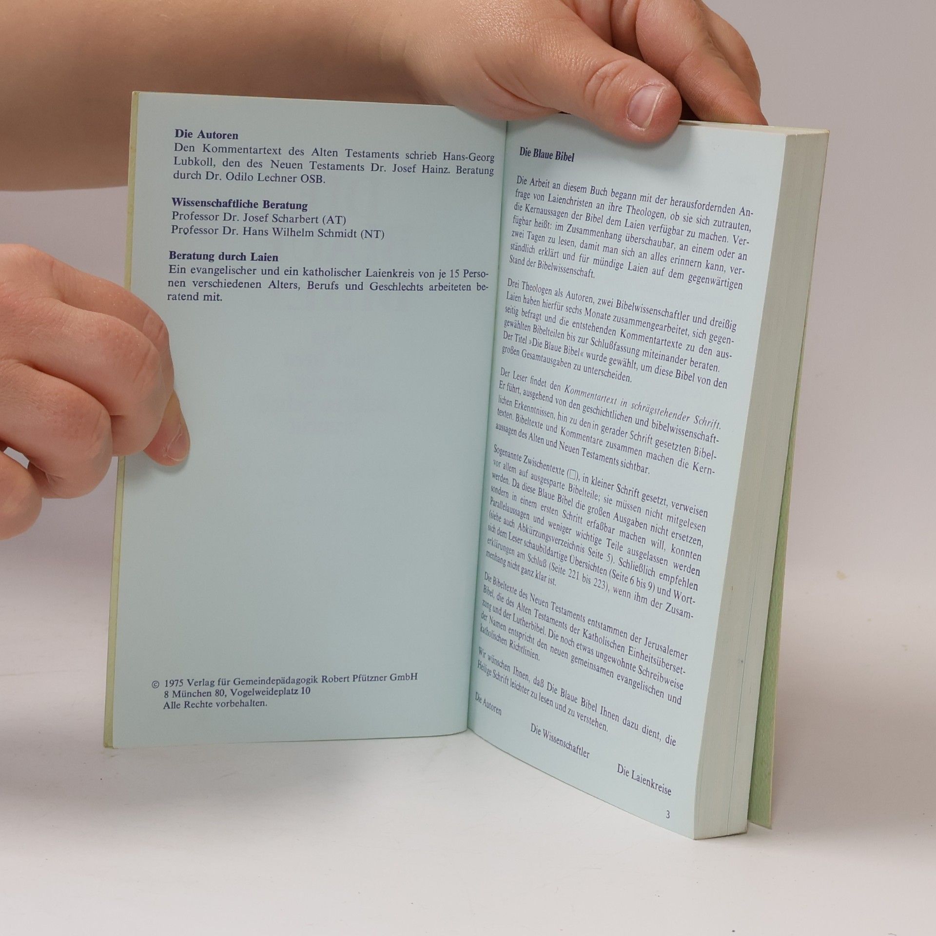 Kolektiv autorů Die blaue Bibel