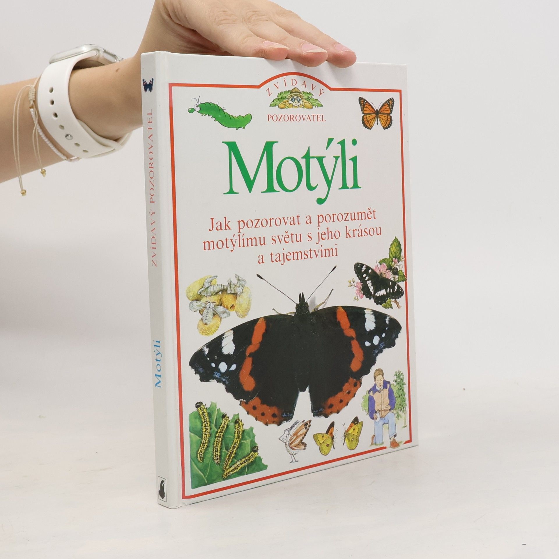 Kolektiv autorů Motýli