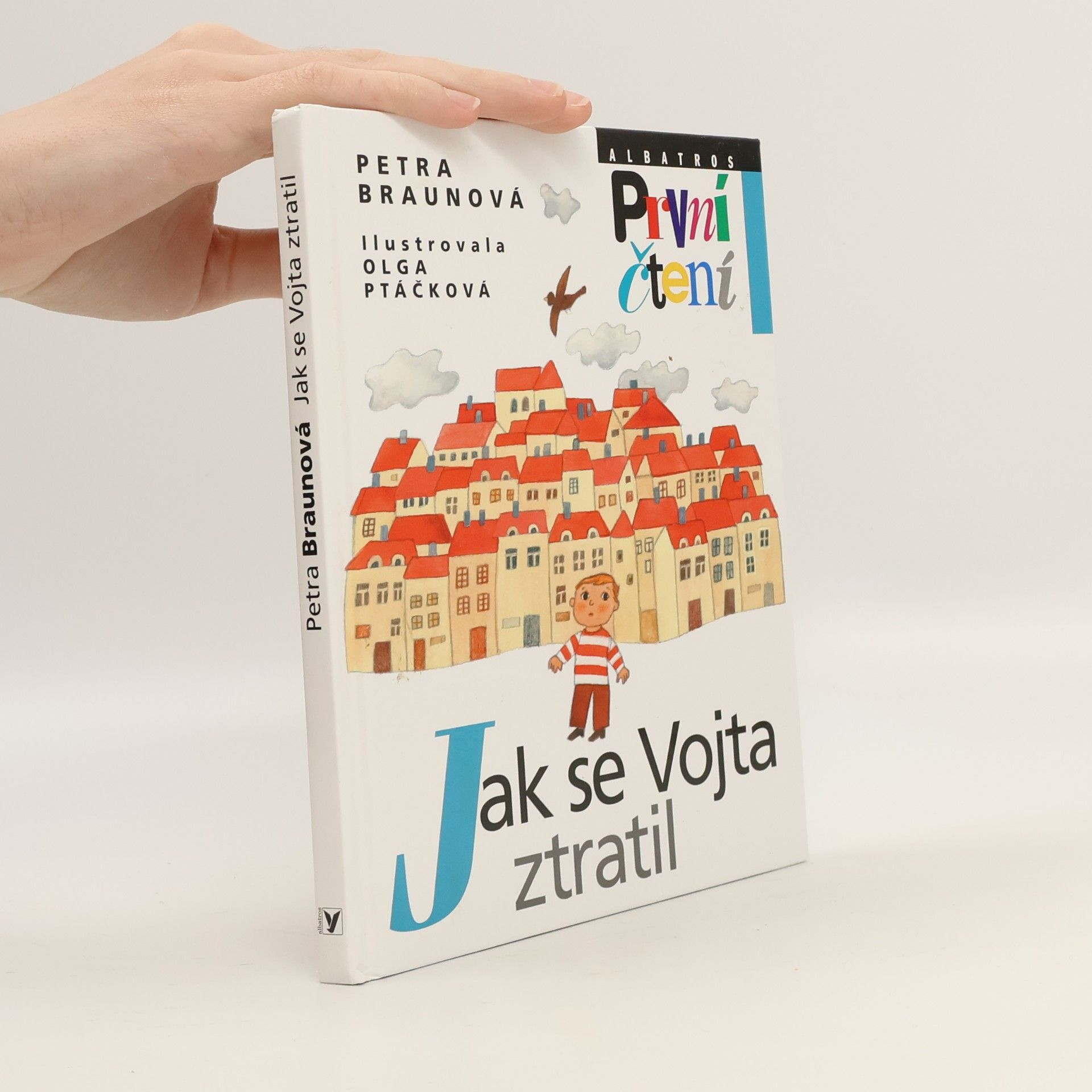 Petra Braun Groh Jak se Vojta ztratil