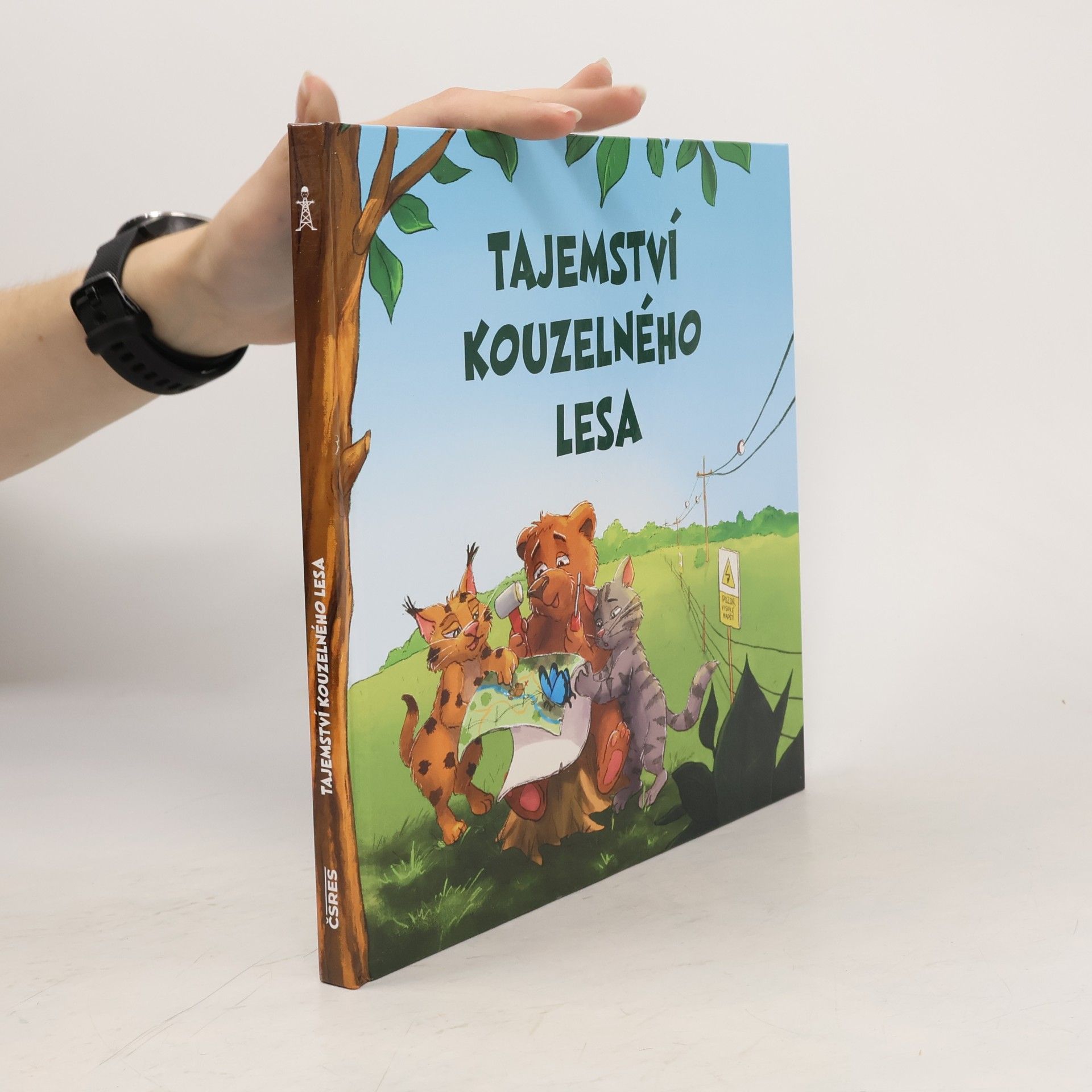 Petr Albert Tajemství kouzelného lesa