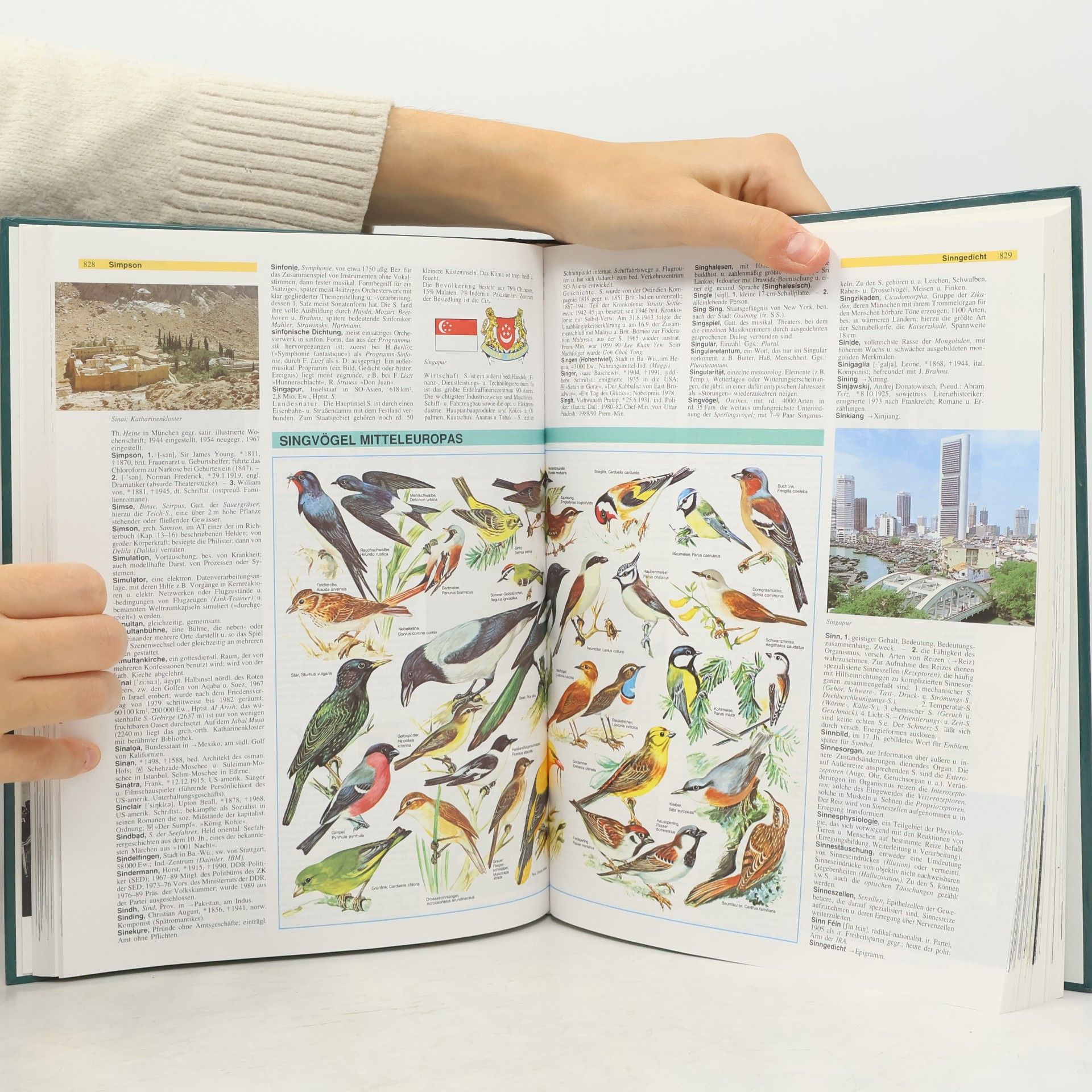 Kolektiv autorů Das grosse illustrierte Lexikon 3