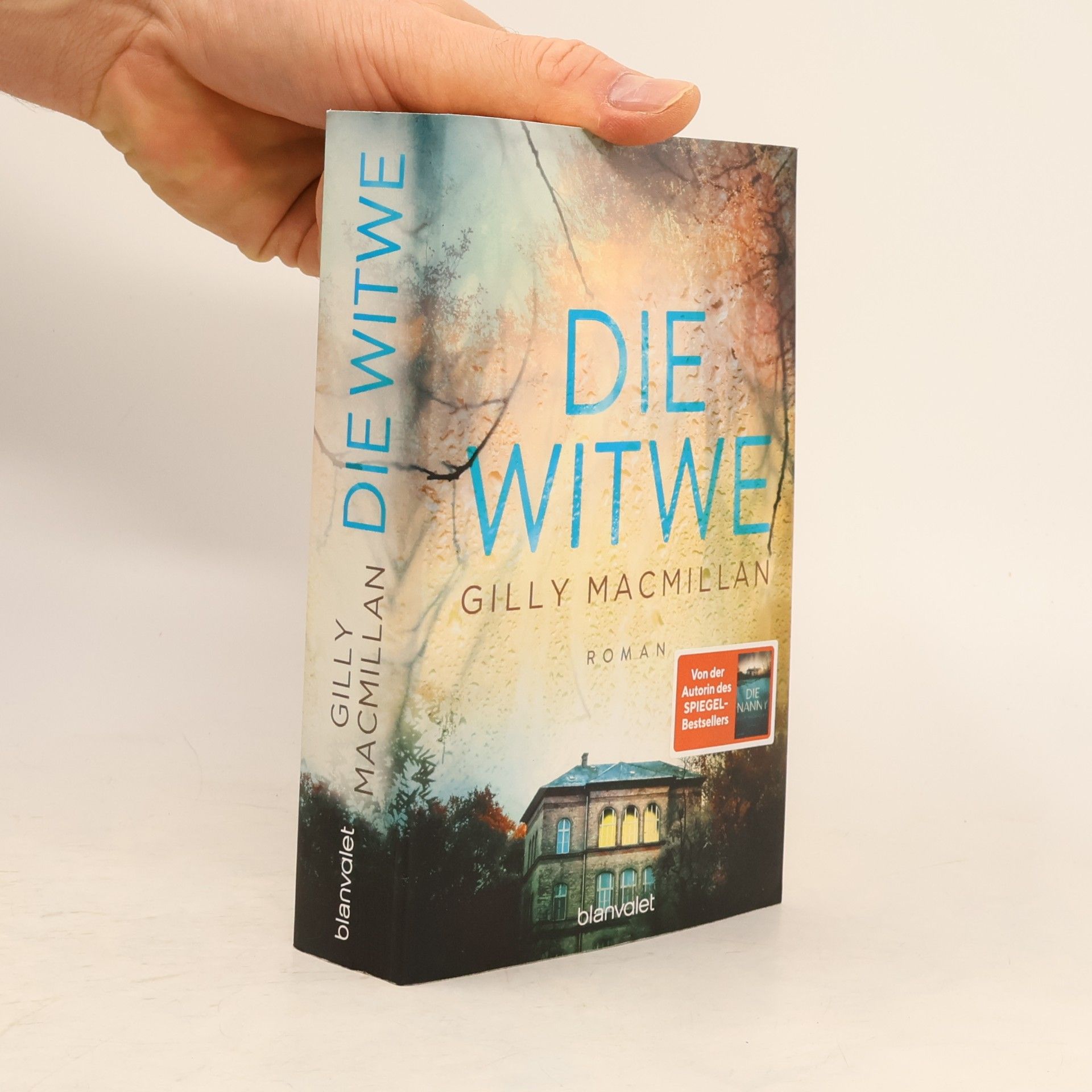 Gilly Macmillan Die Witwe