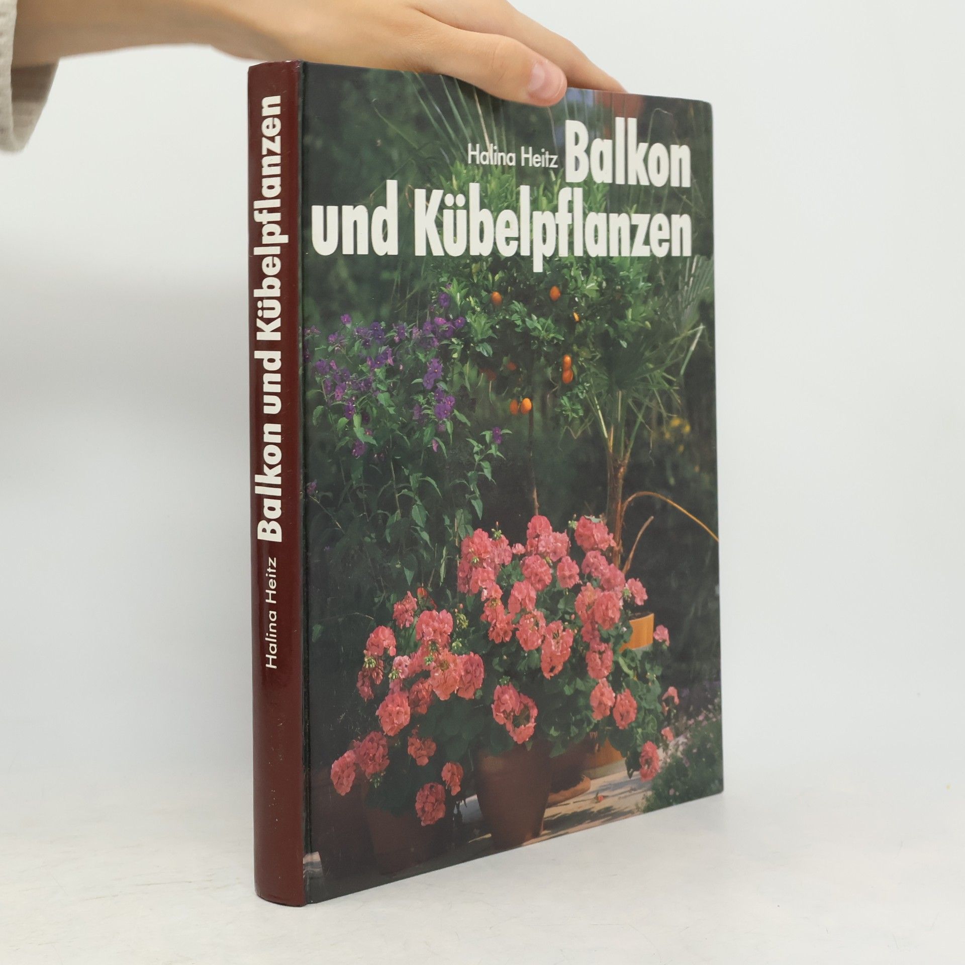 Halina Heitz Balkon und Kübelpflanzen