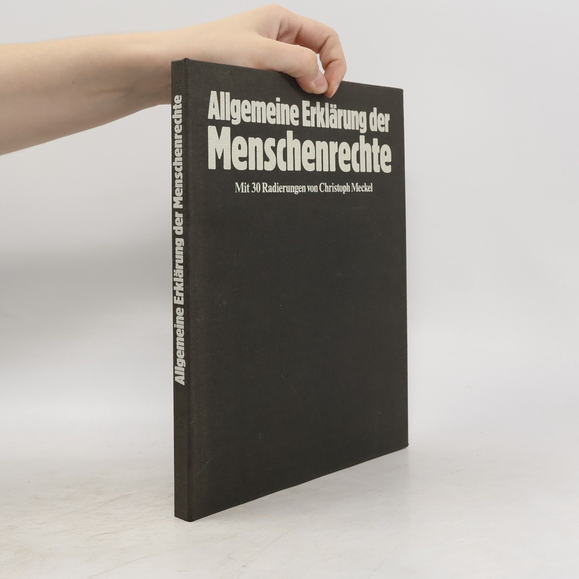 Kolektiv autorů Allgemeine Erklärung der Menschenrechte
