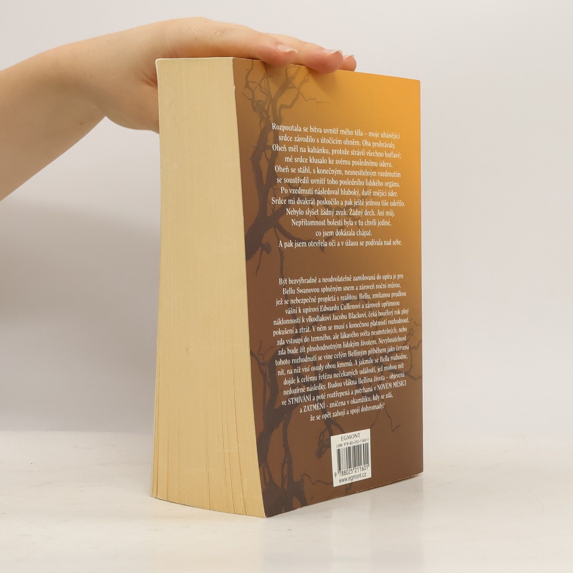 Stephenie Meyer Rozbřesk