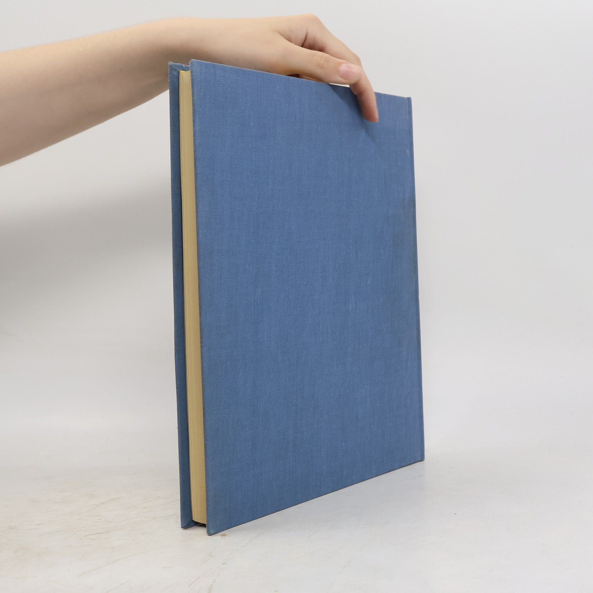 Paul Zucker Handbuch der Kunstwissenschaft. Die Baukunst der Renaissance in Italien