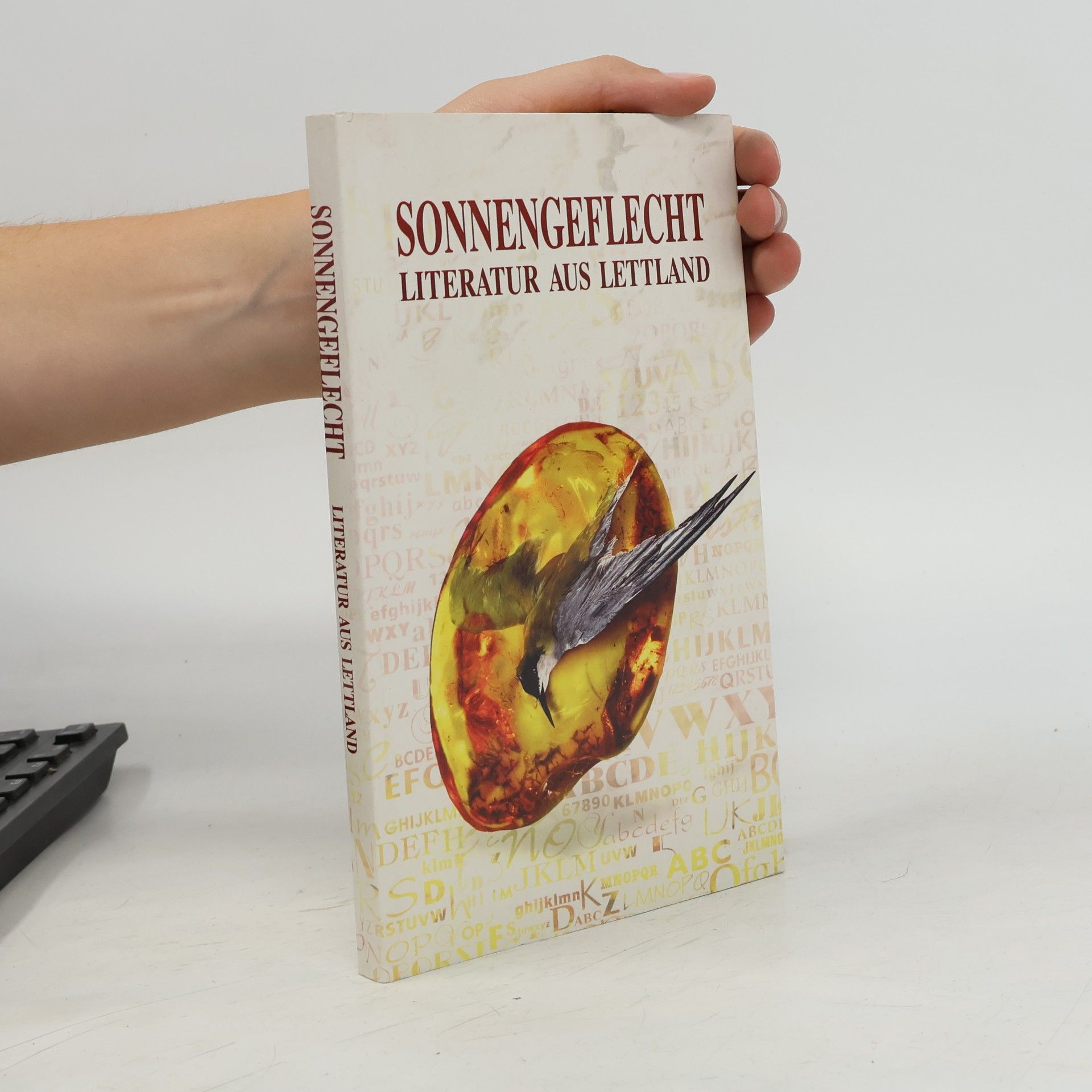 Heide Lydia Schmidt Sonnengeflecht