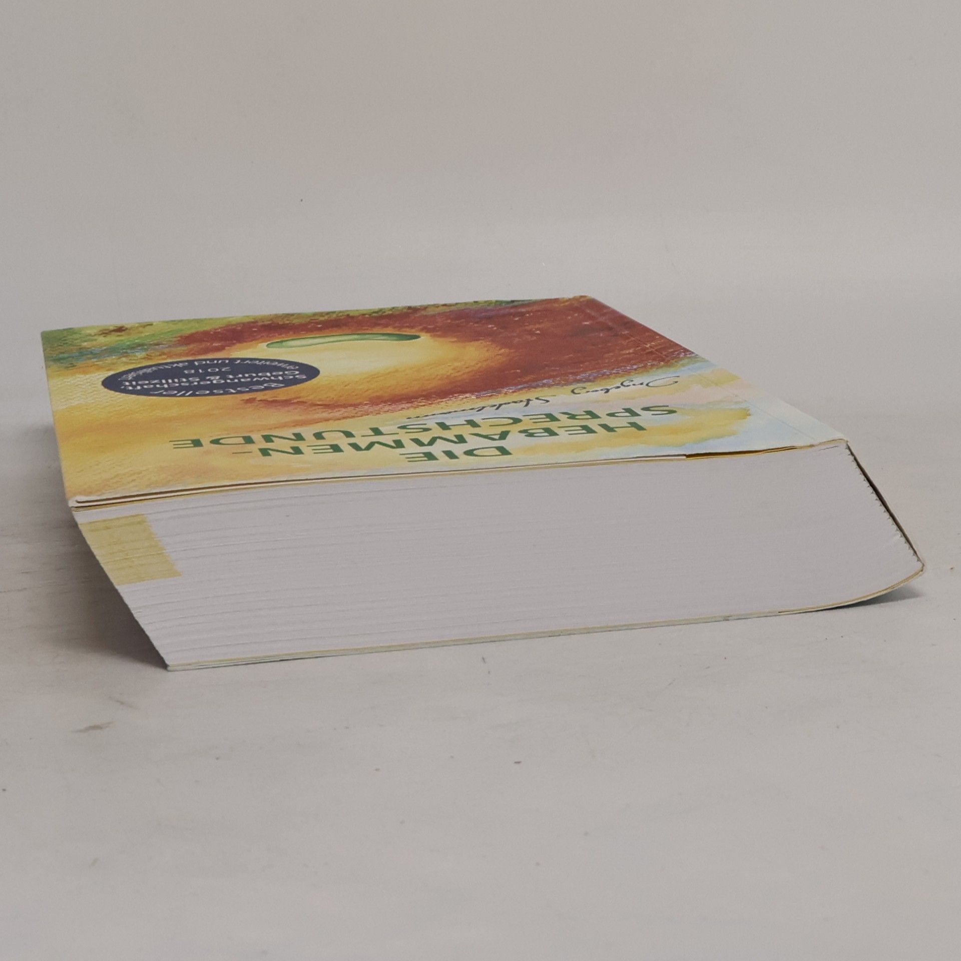 Ingeborg Stadelmann Die Hebammen-Sprechstunde