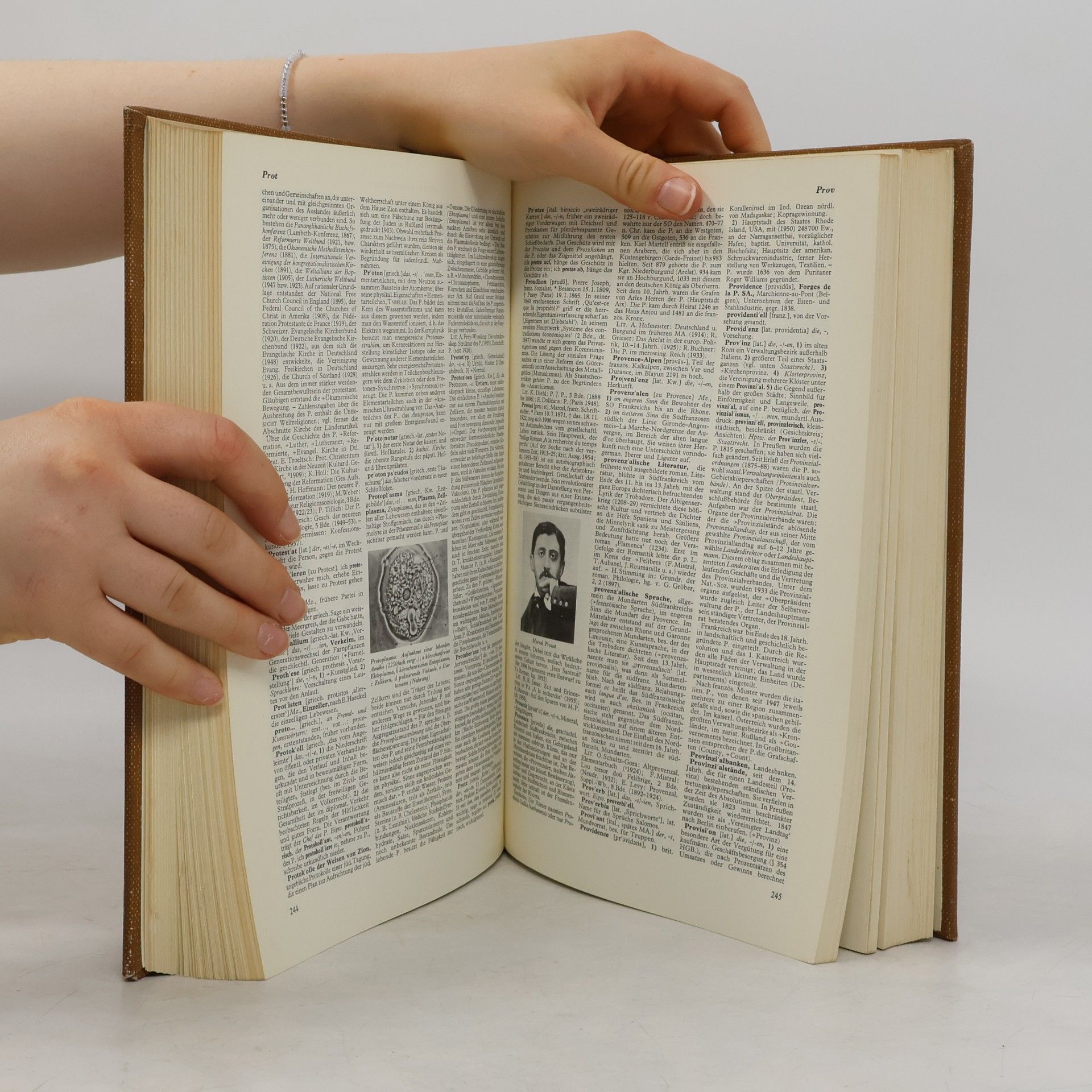 Autorenkollektiv Der neue Brockhaus