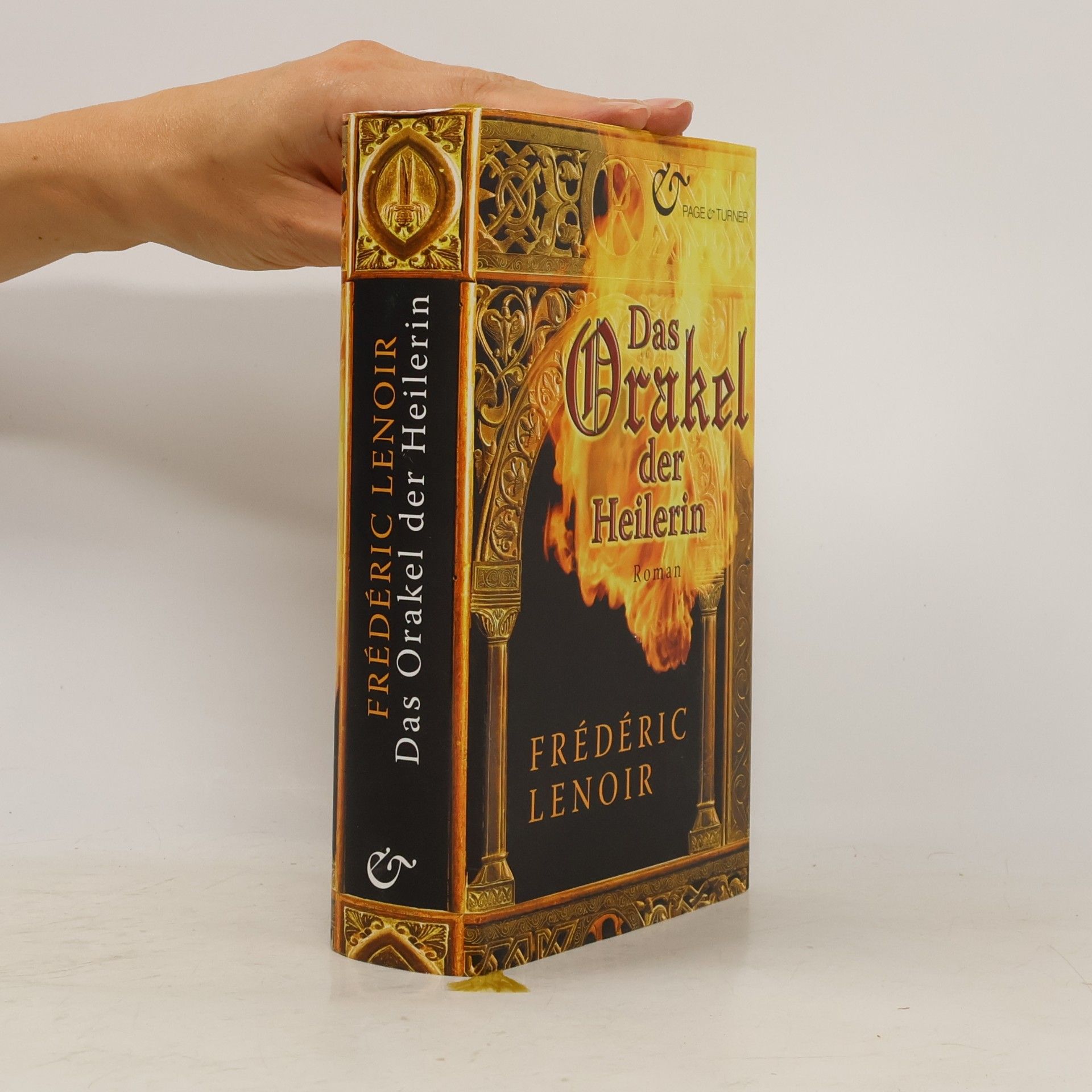Frédéric Lenoir Das Orakel der Heilerin