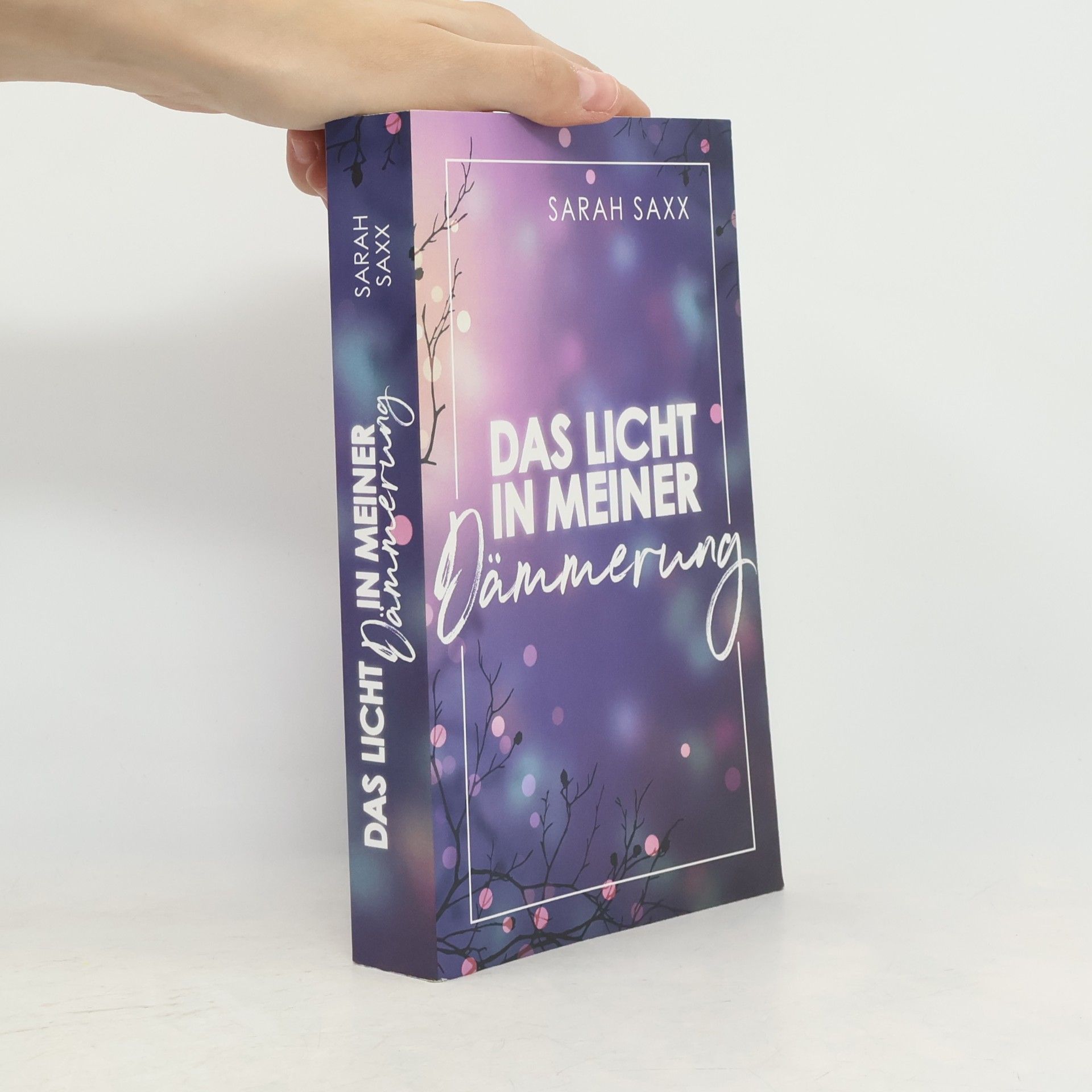 Sarah Saxx Das Licht in meiner Dämmerung