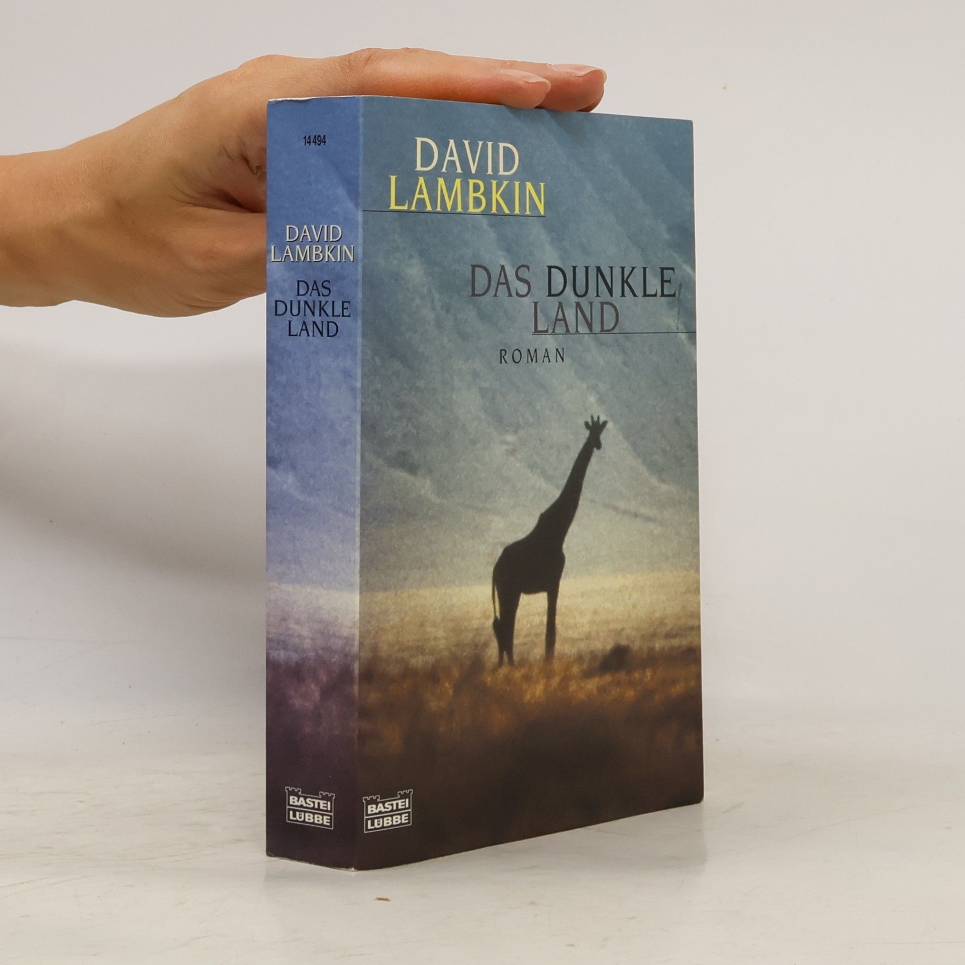 David Lambkin Das dunkle Land